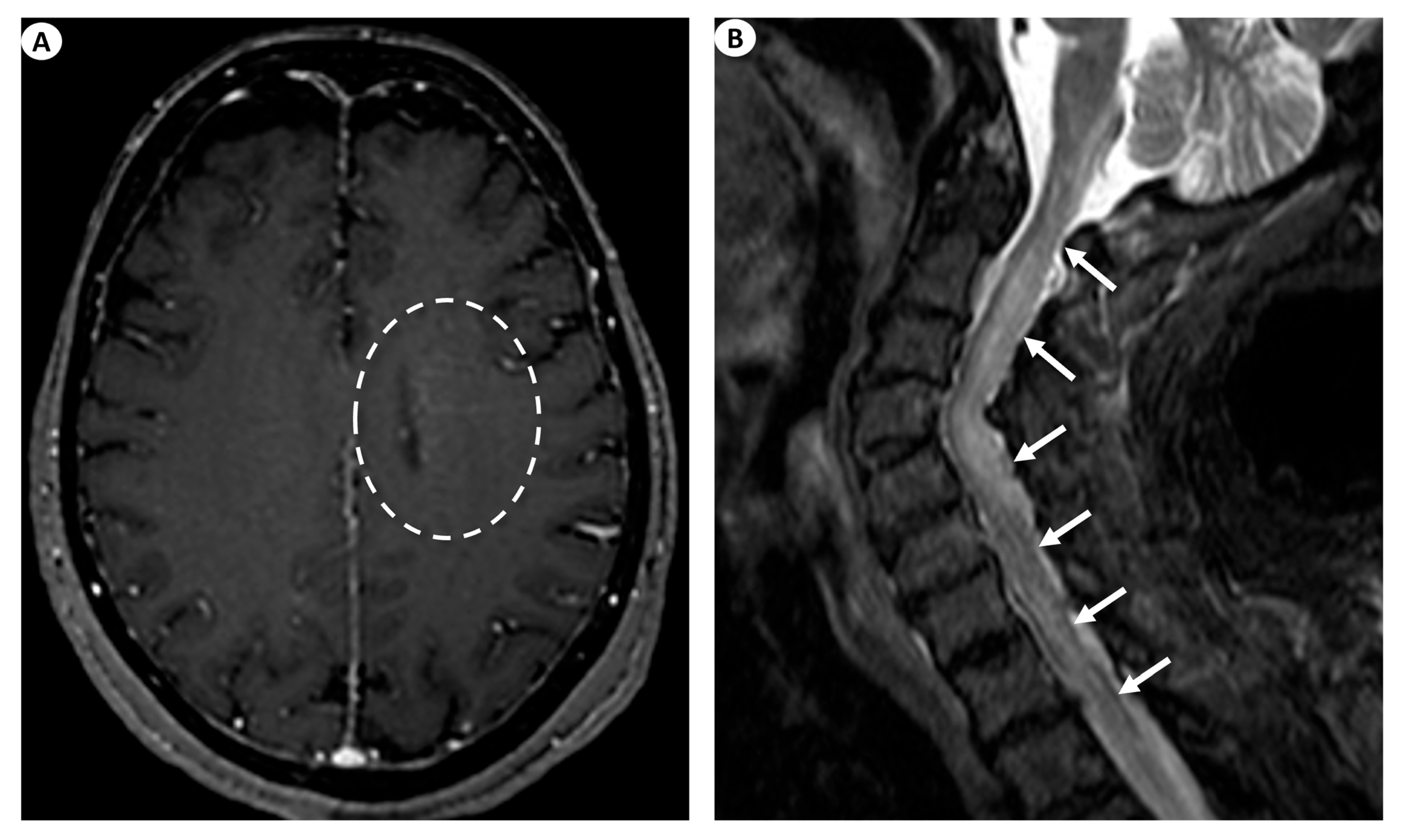 Antibodies 13 00079 g003