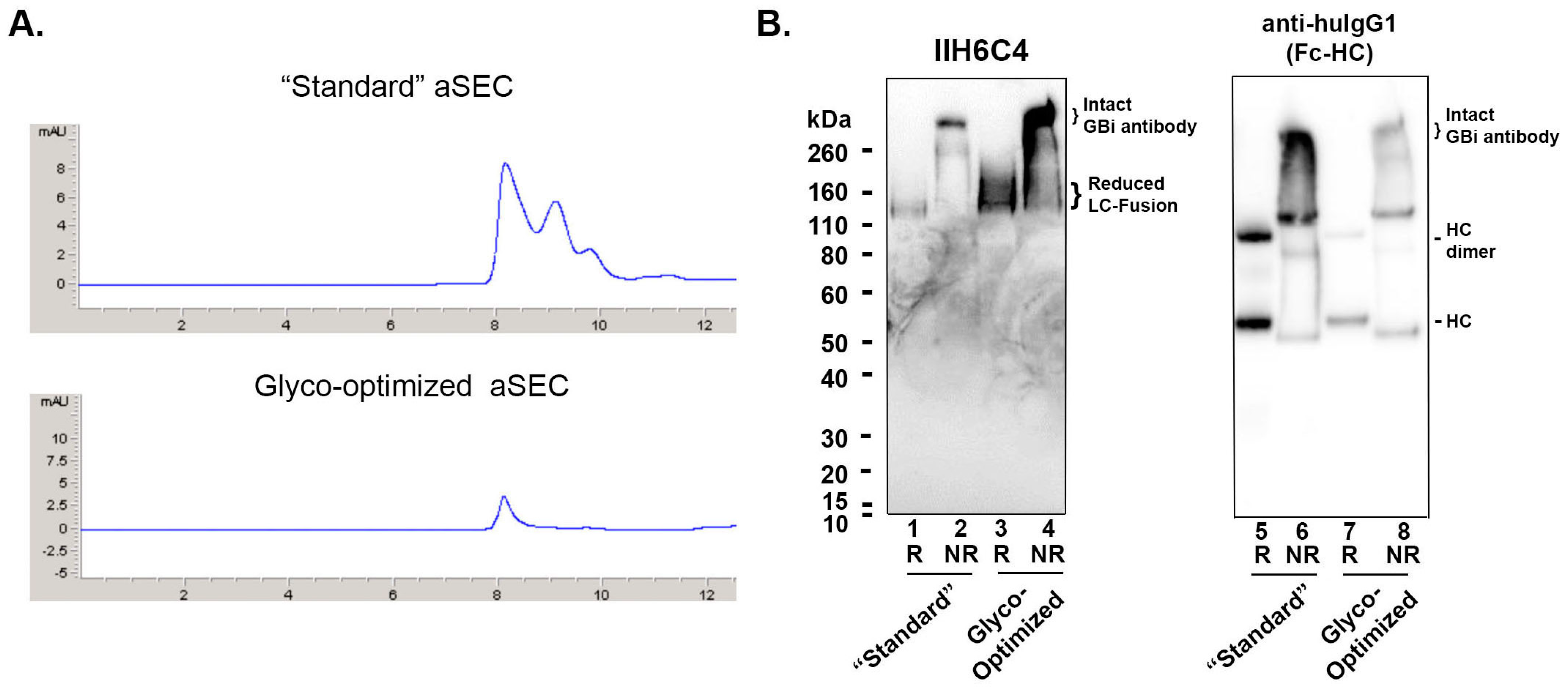 Antibodies 13 00083 g002