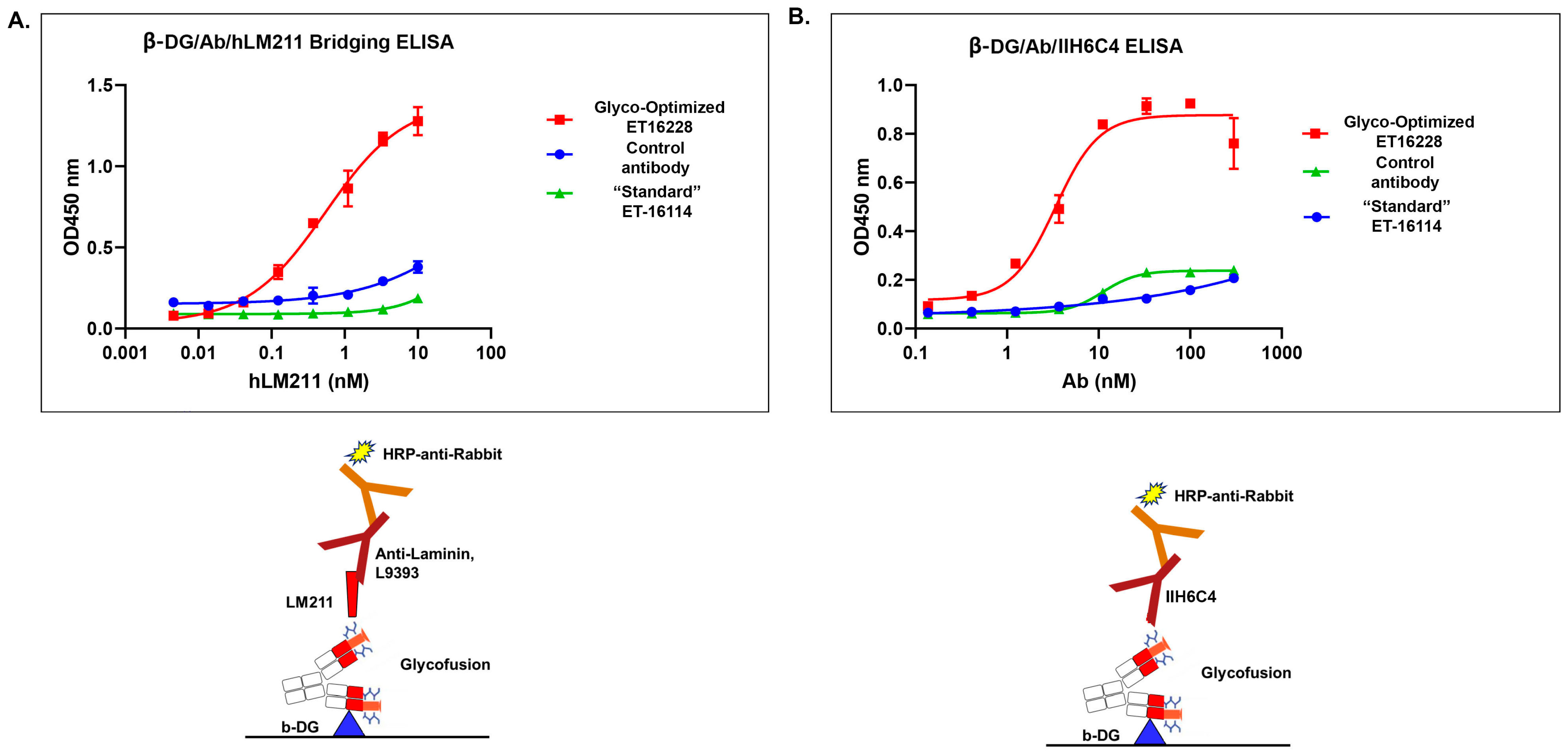 Antibodies 13 00083 g004