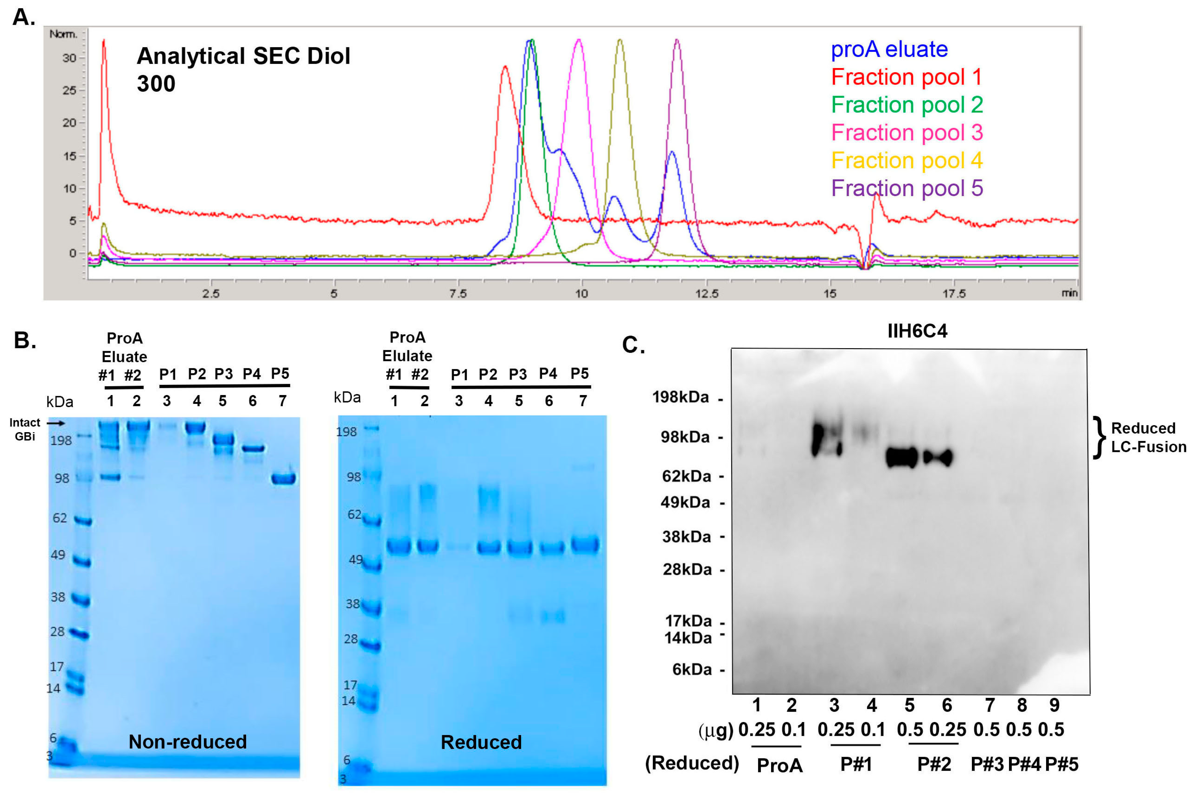 Antibodies 13 00083 g005