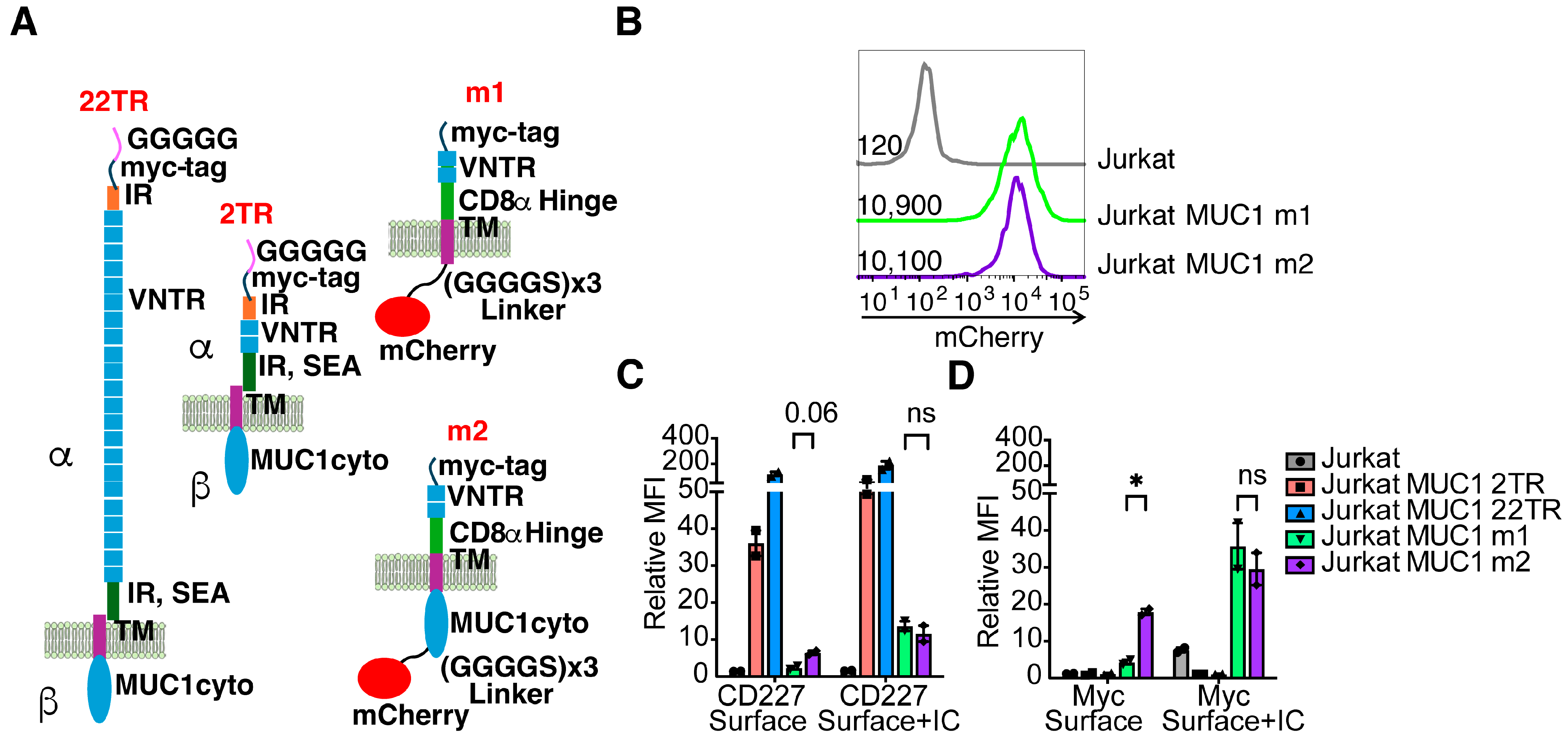 Antibodies 13 00085 g007