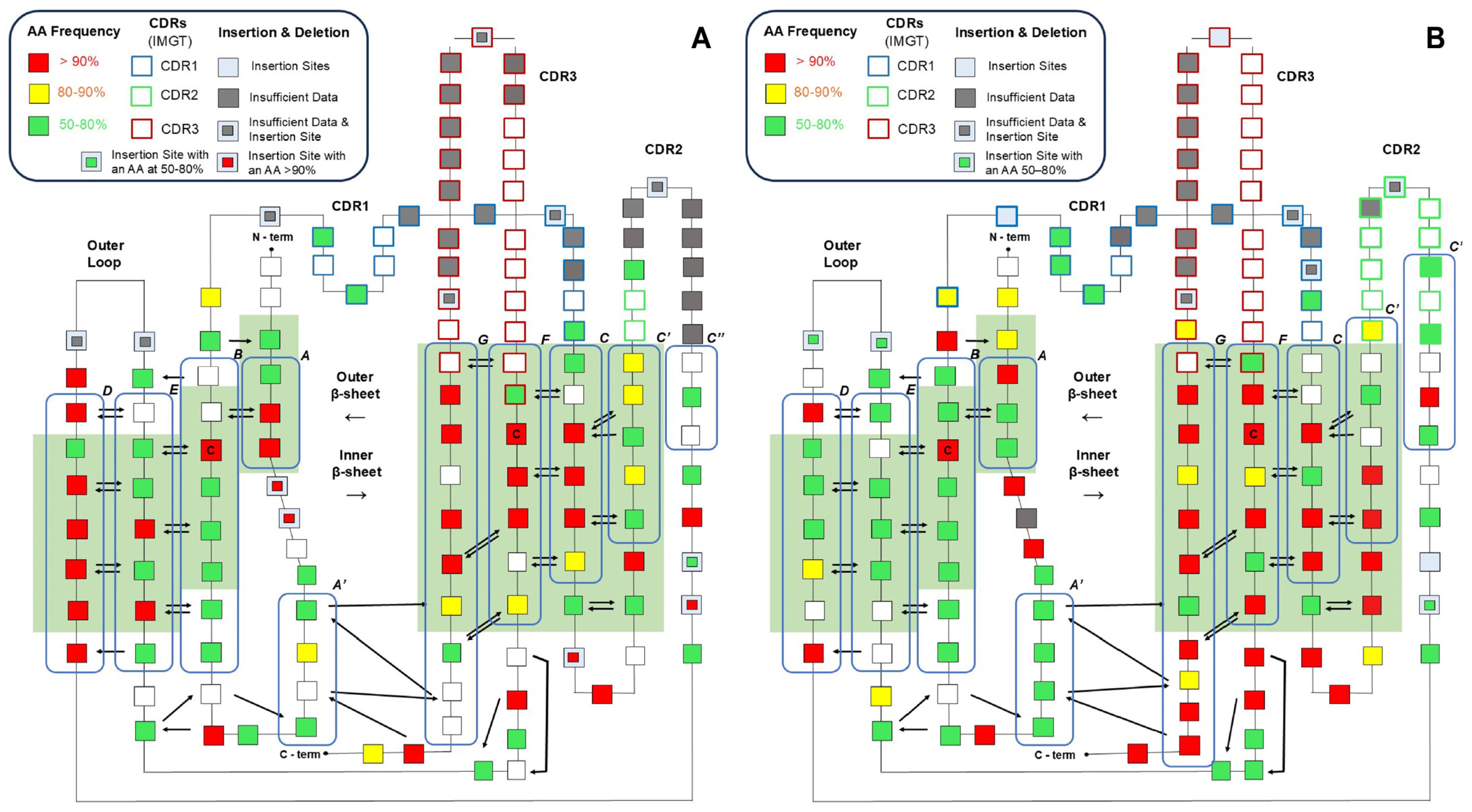 Antibodies 13 00099 g008 Antibodies 13 00099 g008