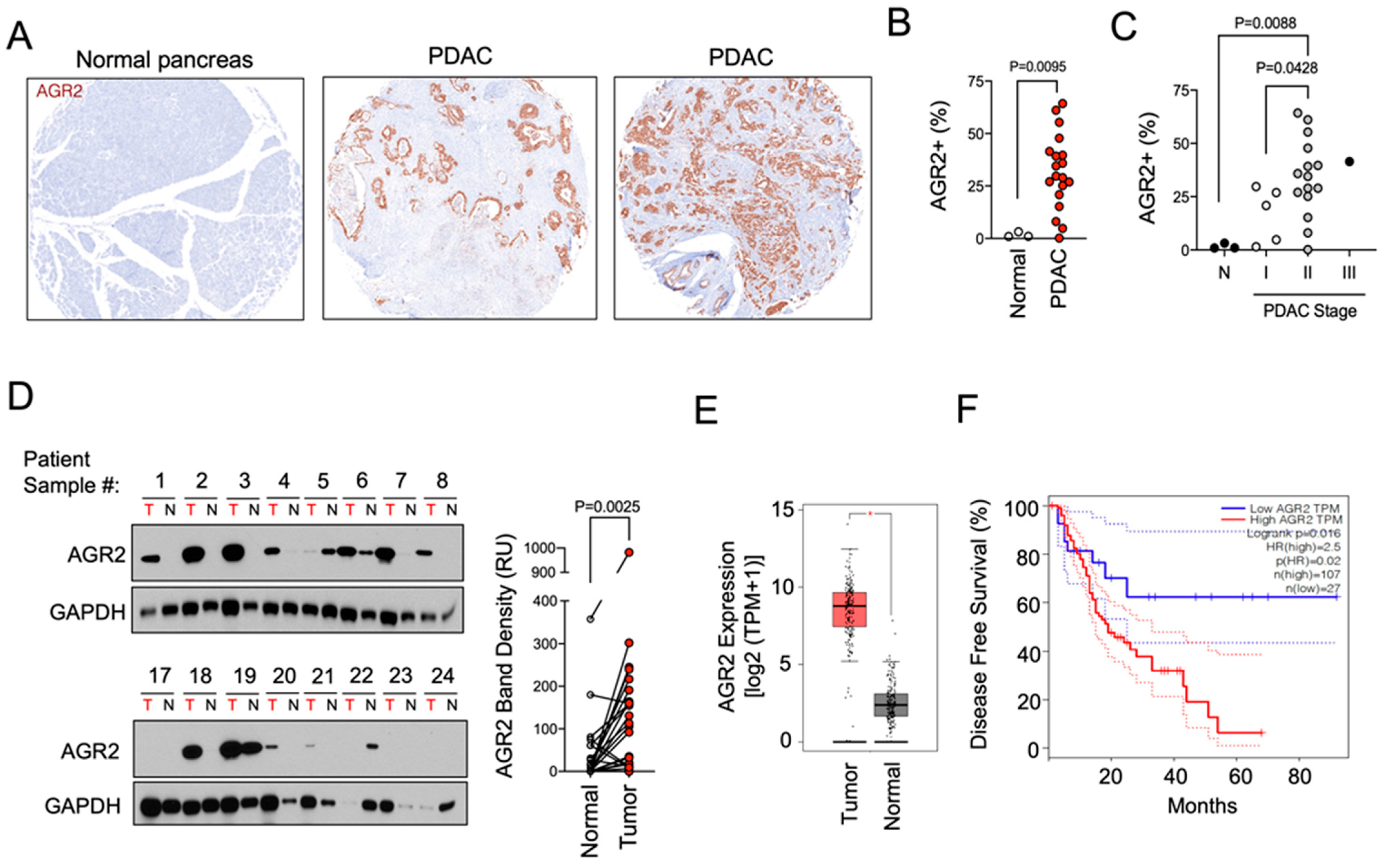 Antibodies 13 00101 g001
