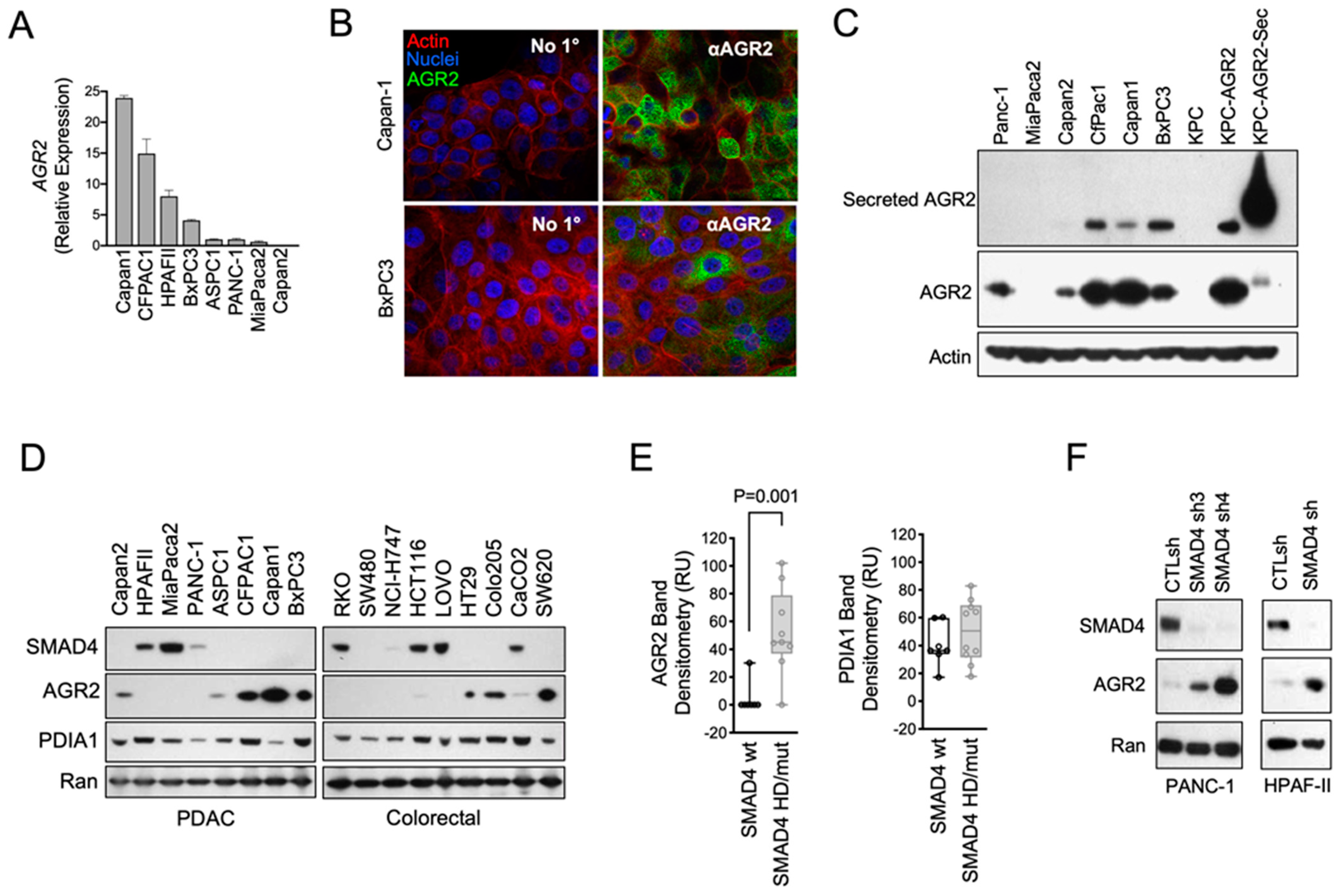 Antibodies 13 00101 g002