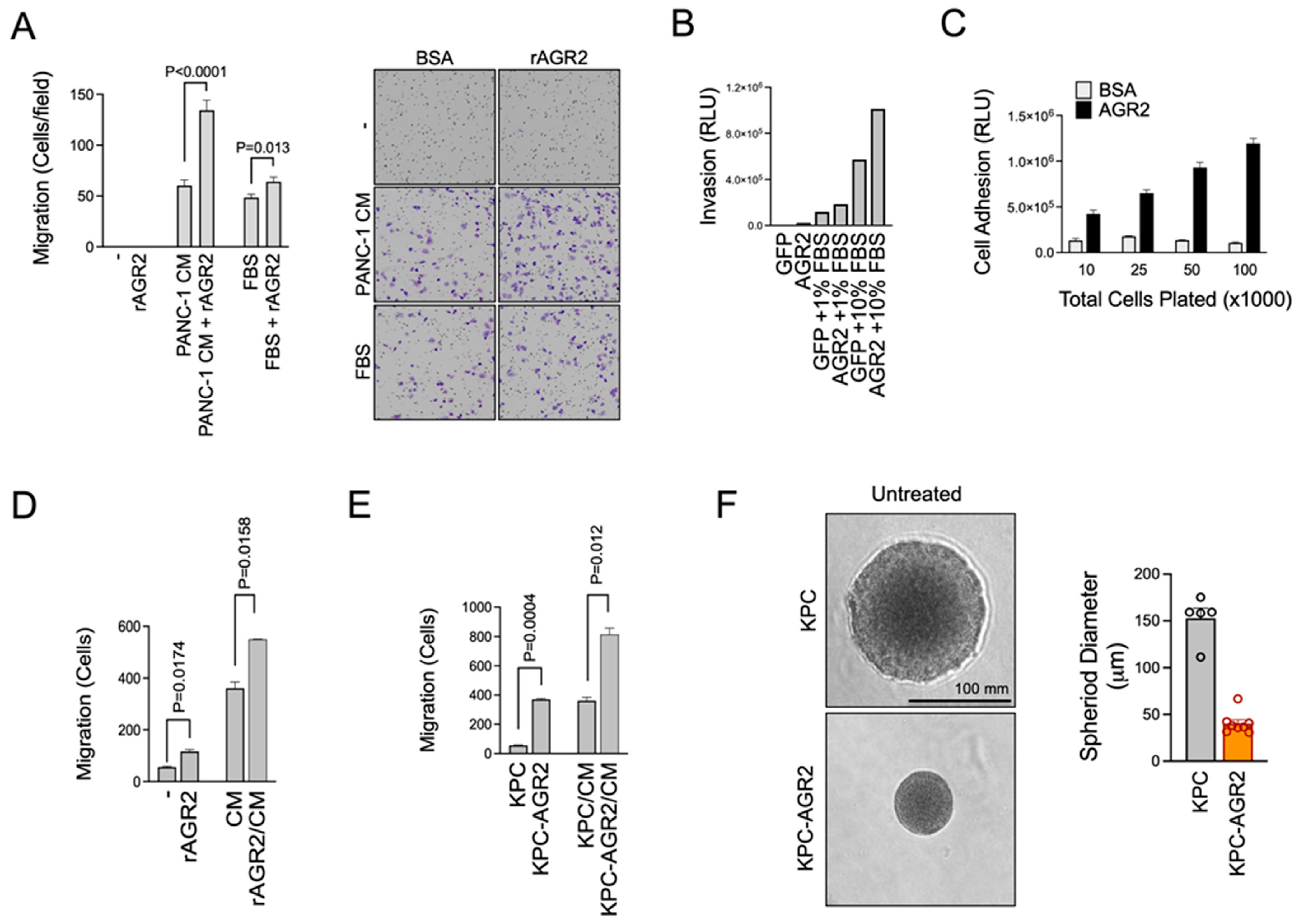 Antibodies 13 00101 g004