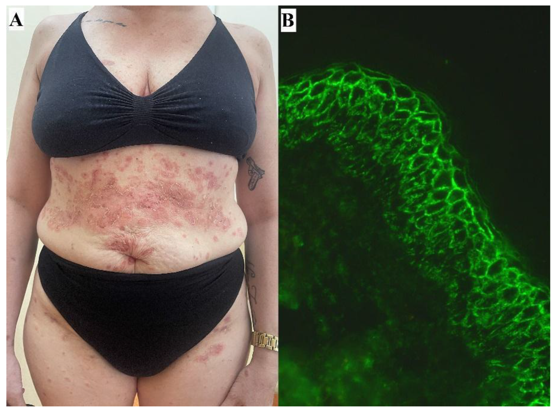Antibodies 13 00103 g001