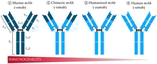 Antibodies 14 00003 g001