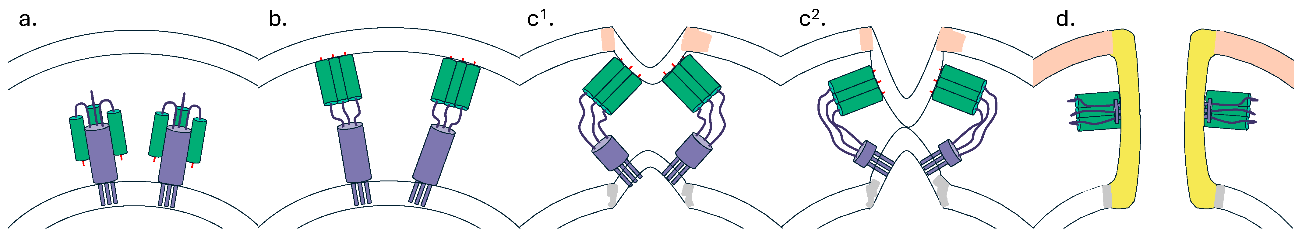 Antibodies 14 00004 g001 Antibodies 14 00004 g001
