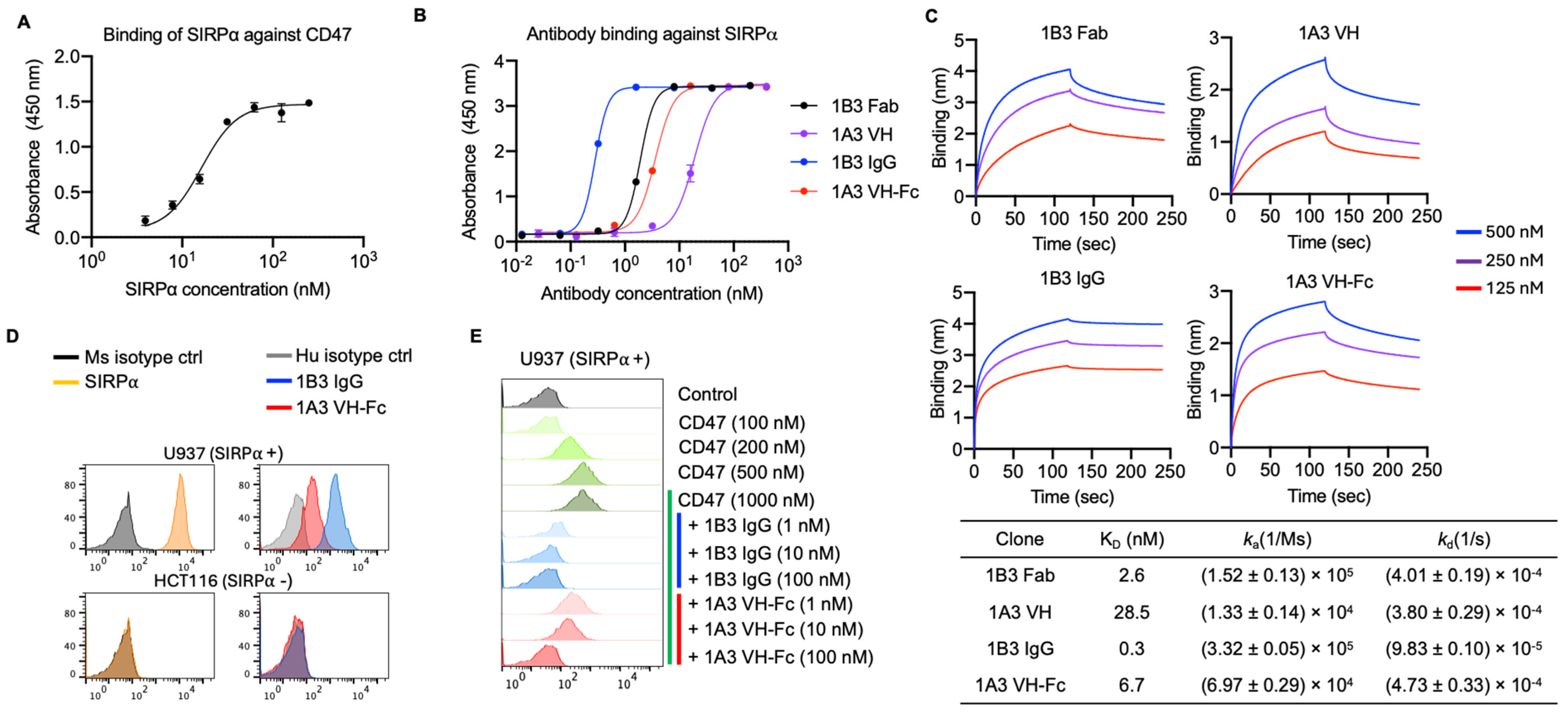 Antibodies 14 00021 g001