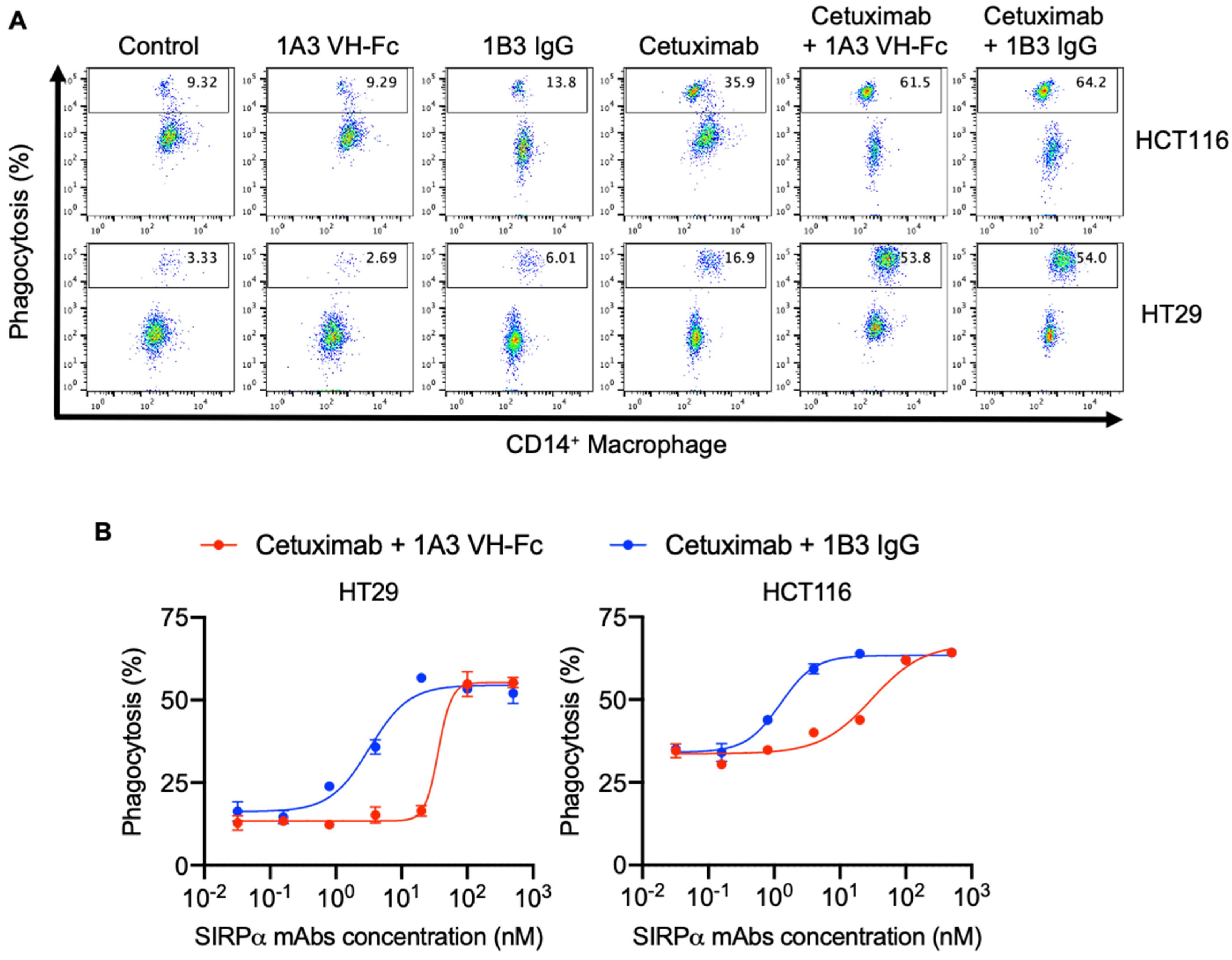 Antibodies 14 00021 g003