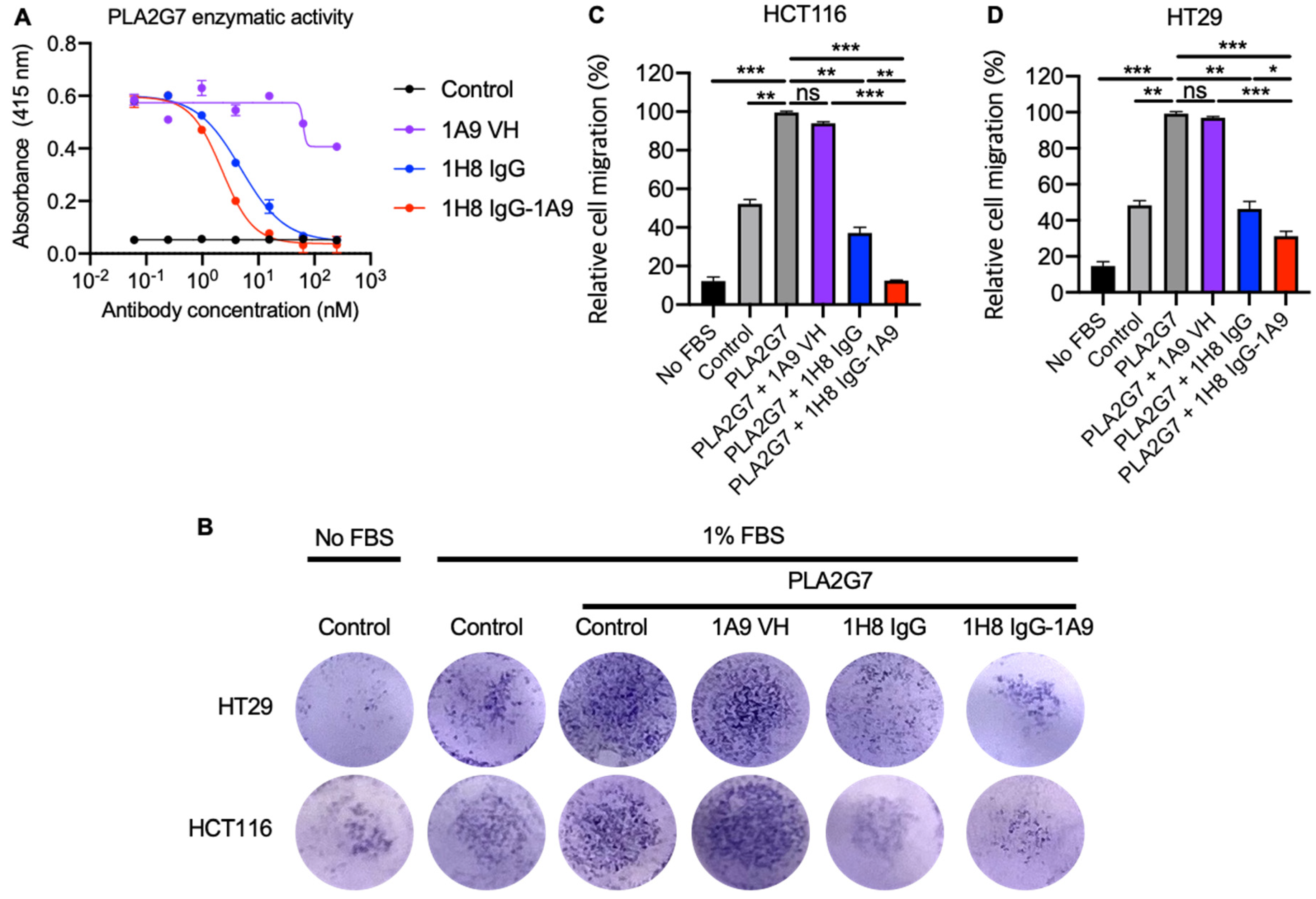 Antibodies 14 00021 g004