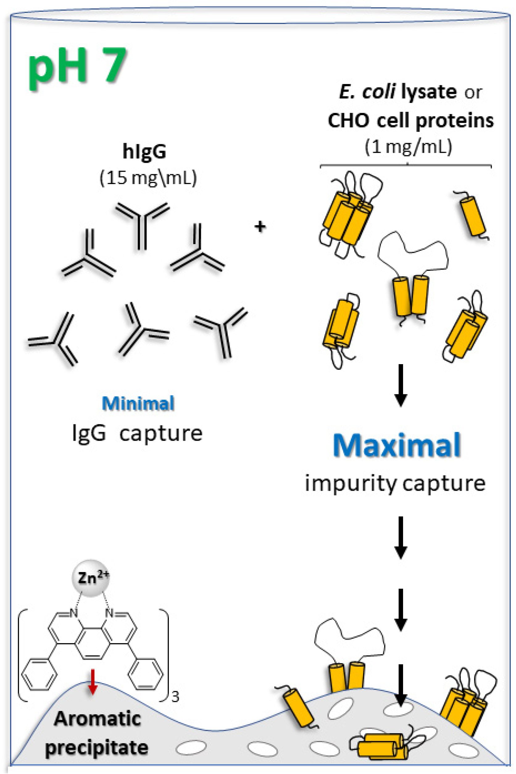 Antibodies 14 00040 g001