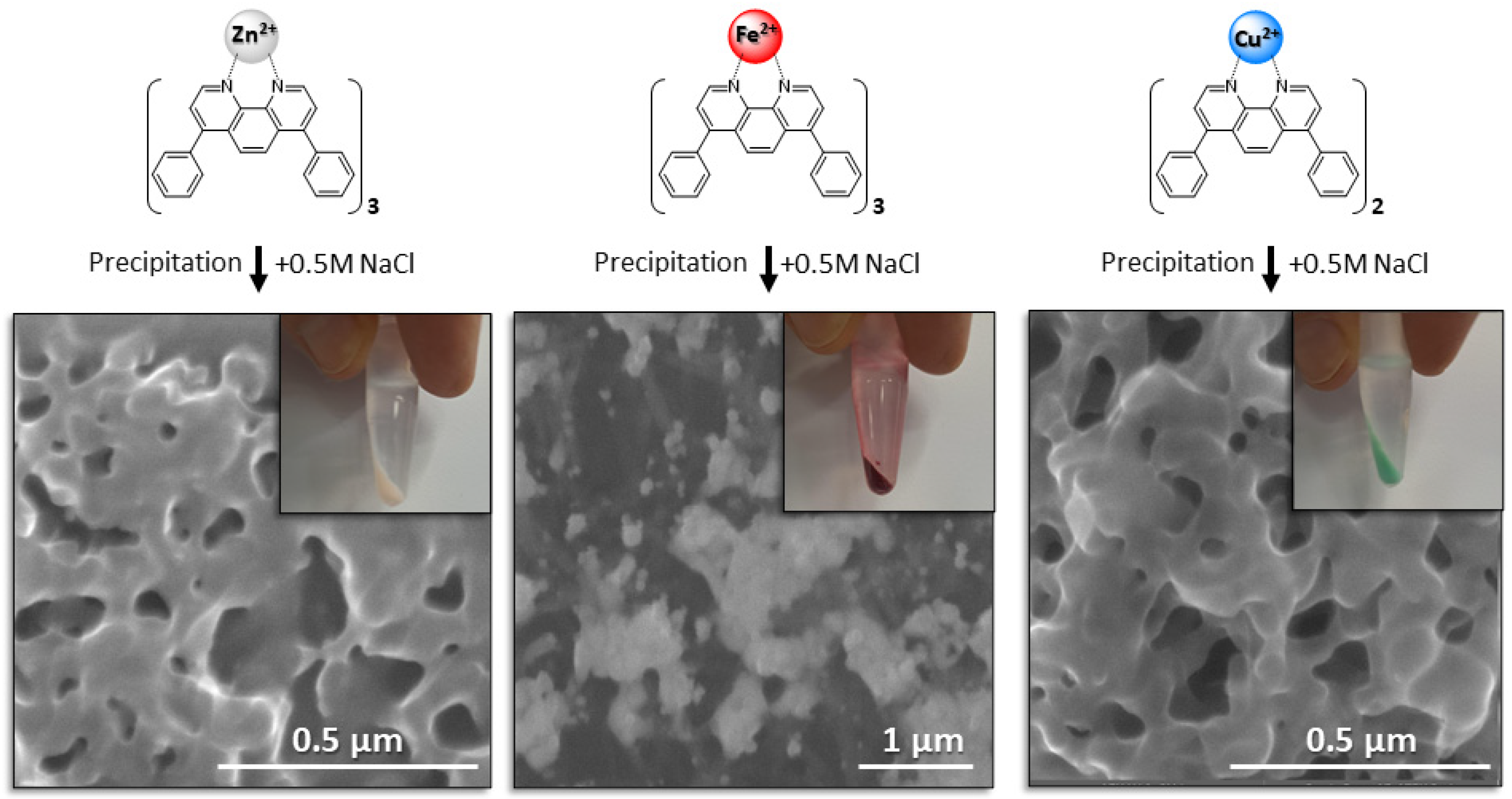 Antibodies 14 00040 g002