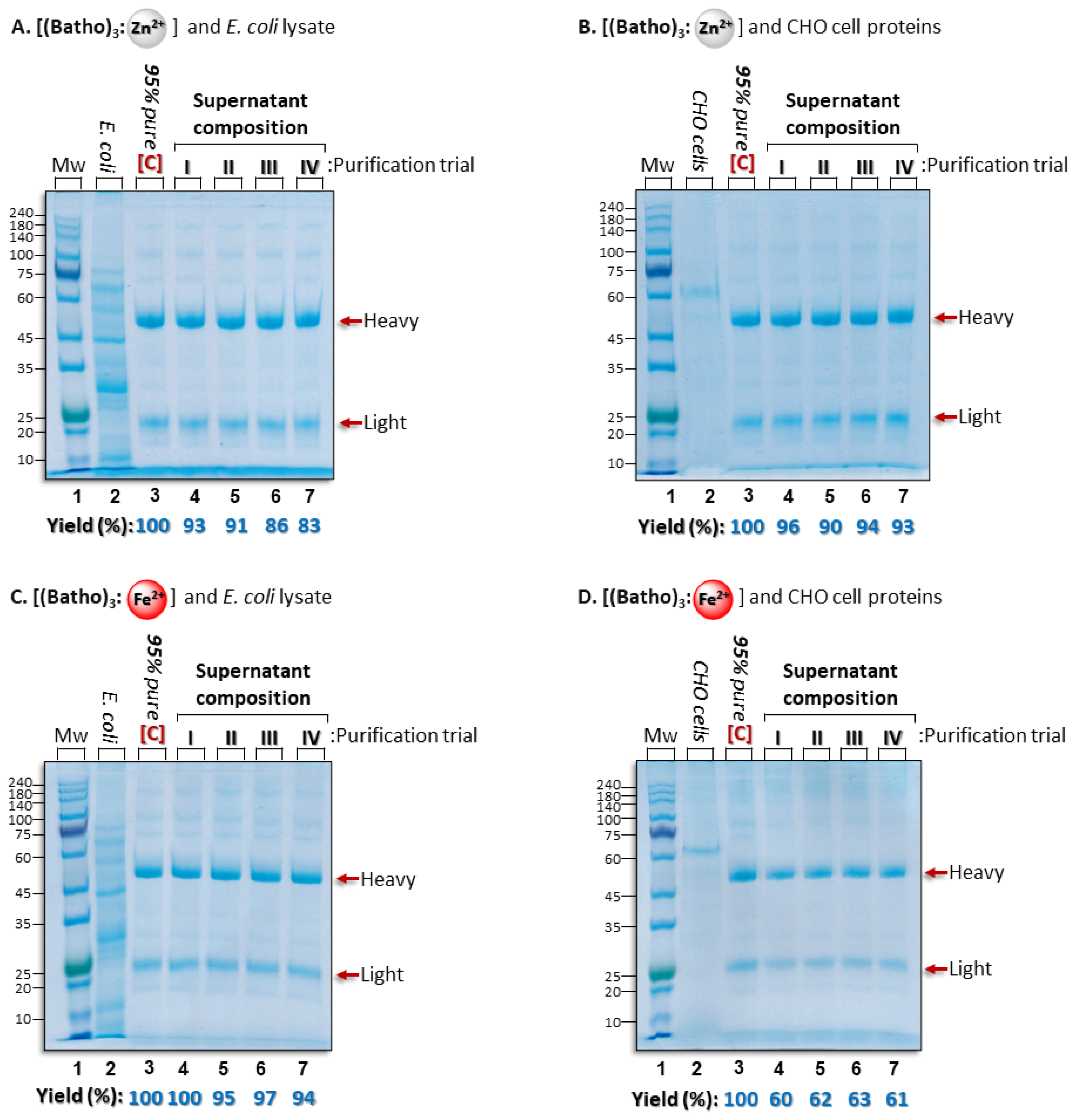 Antibodies 14 00040 g003a