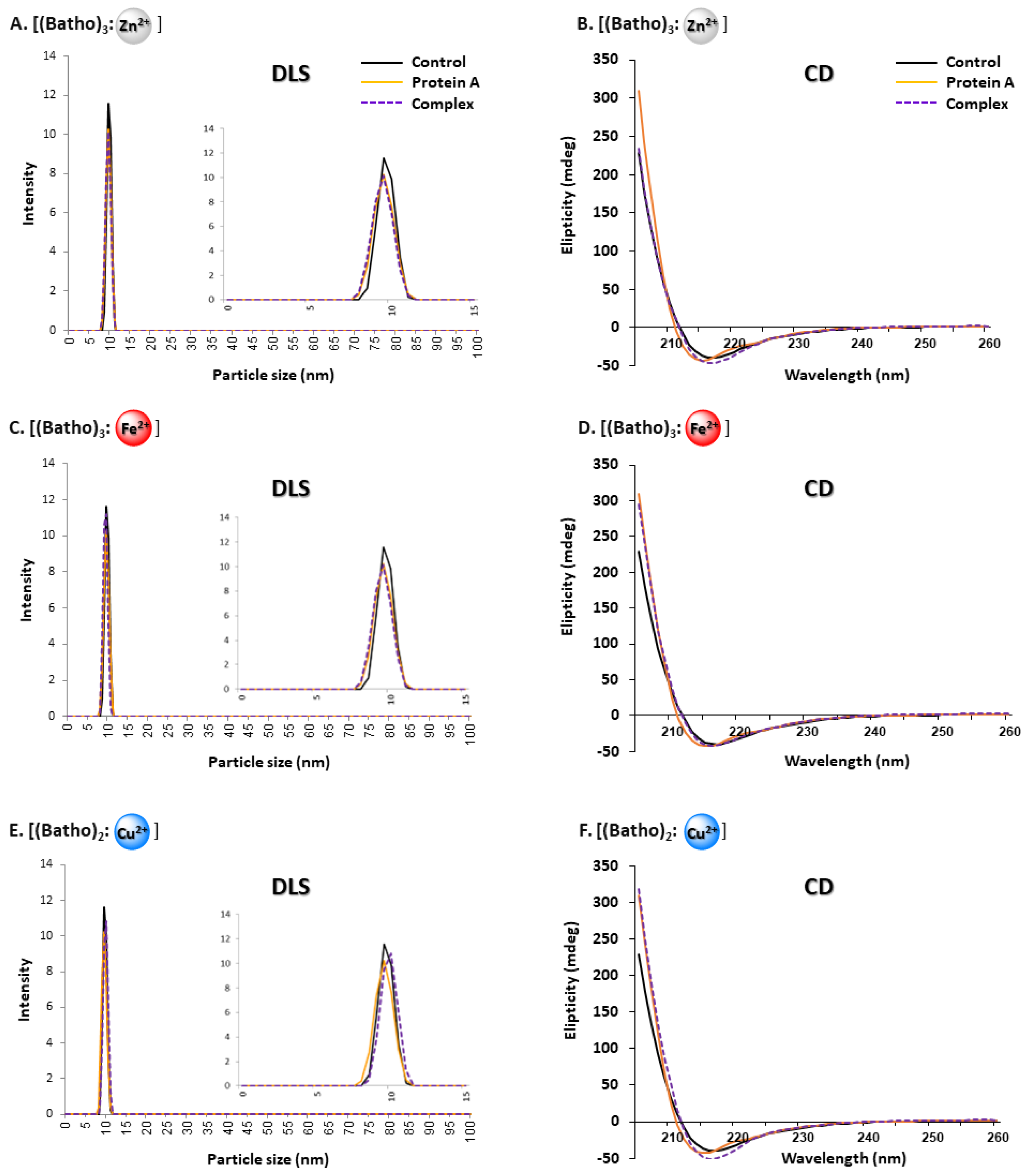 Antibodies 14 00040 g004