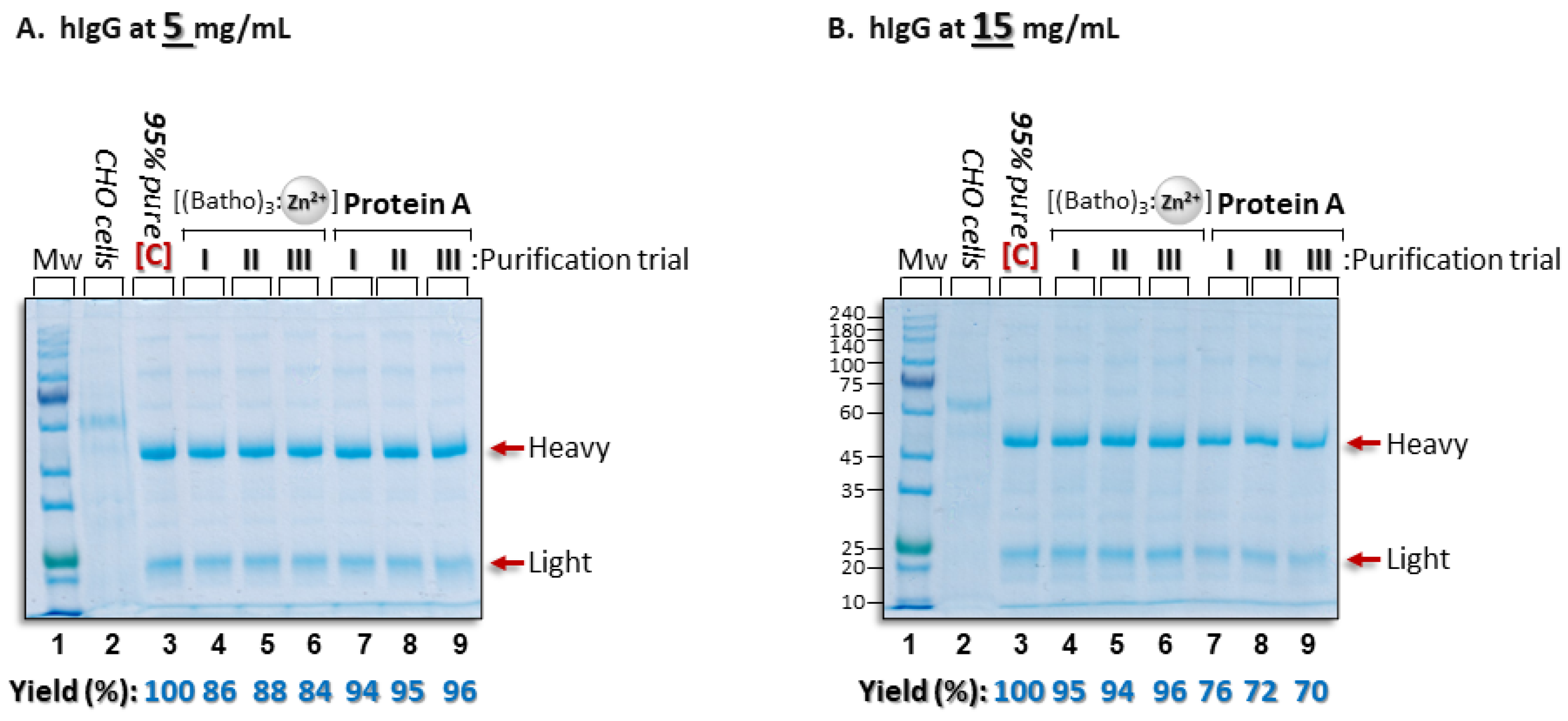 Antibodies 14 00040 g005