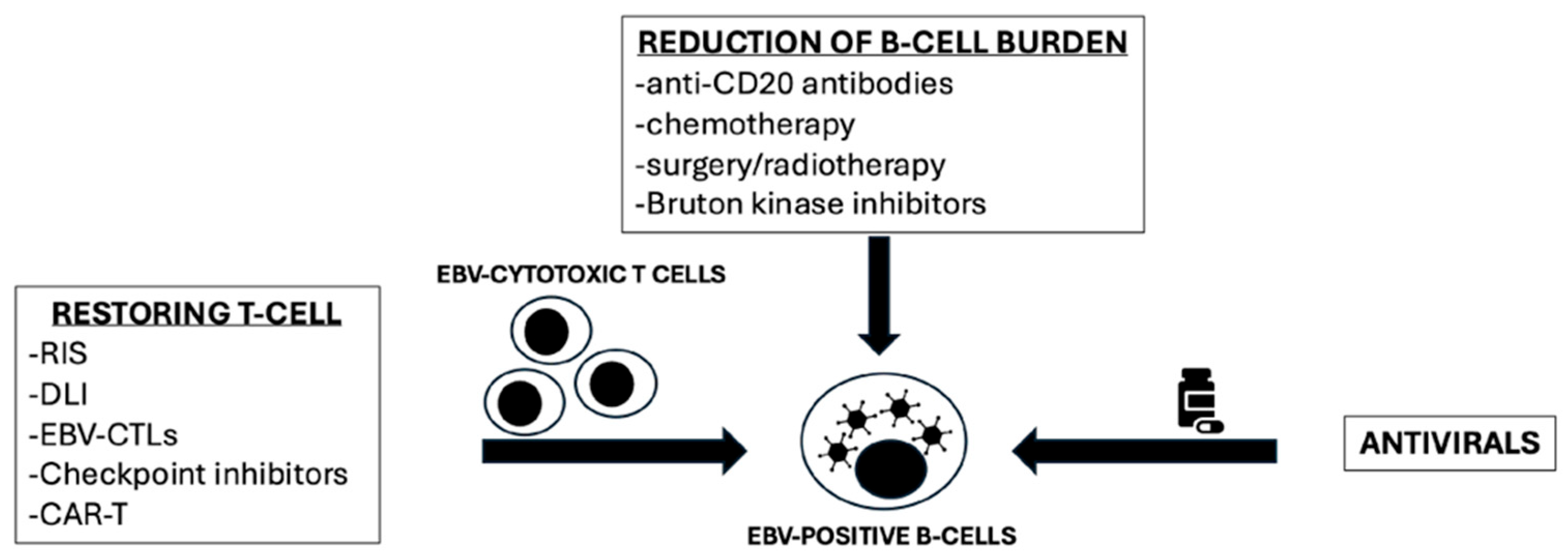 Antibodies 14 00047 g001