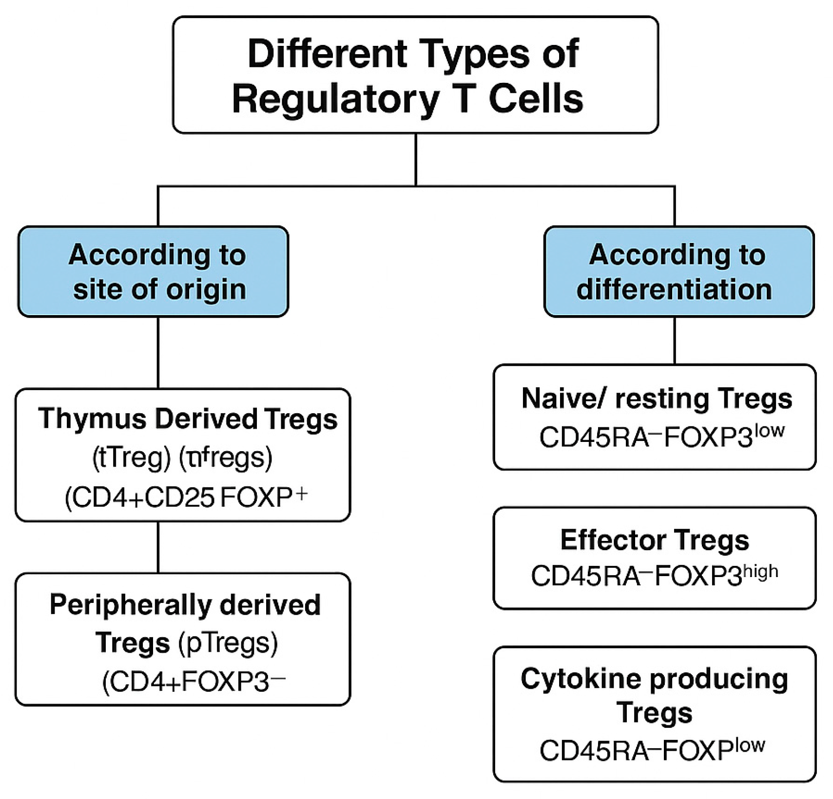 Antibodies 14 00049 g001