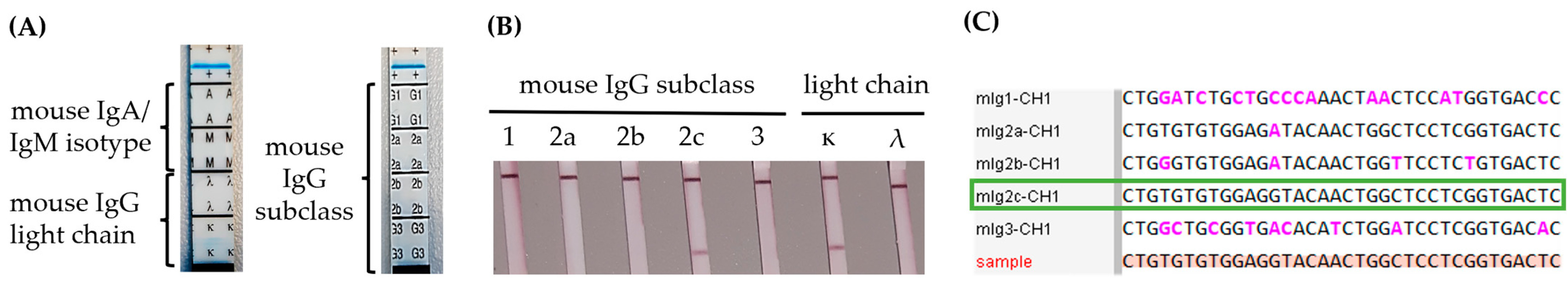 Antibodies 14 00072 g004