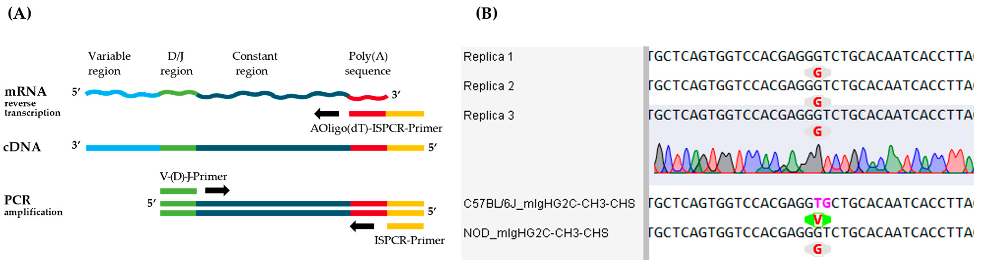 Antibodies 14 00072 g005