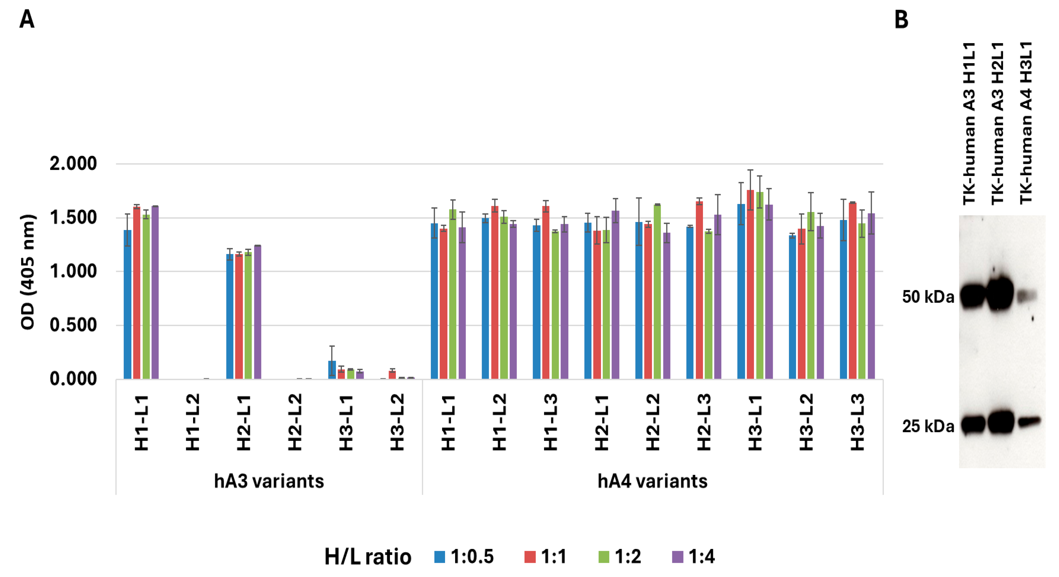 Antibodies 14 00084 g001 Antibodies 14 00084 g001
