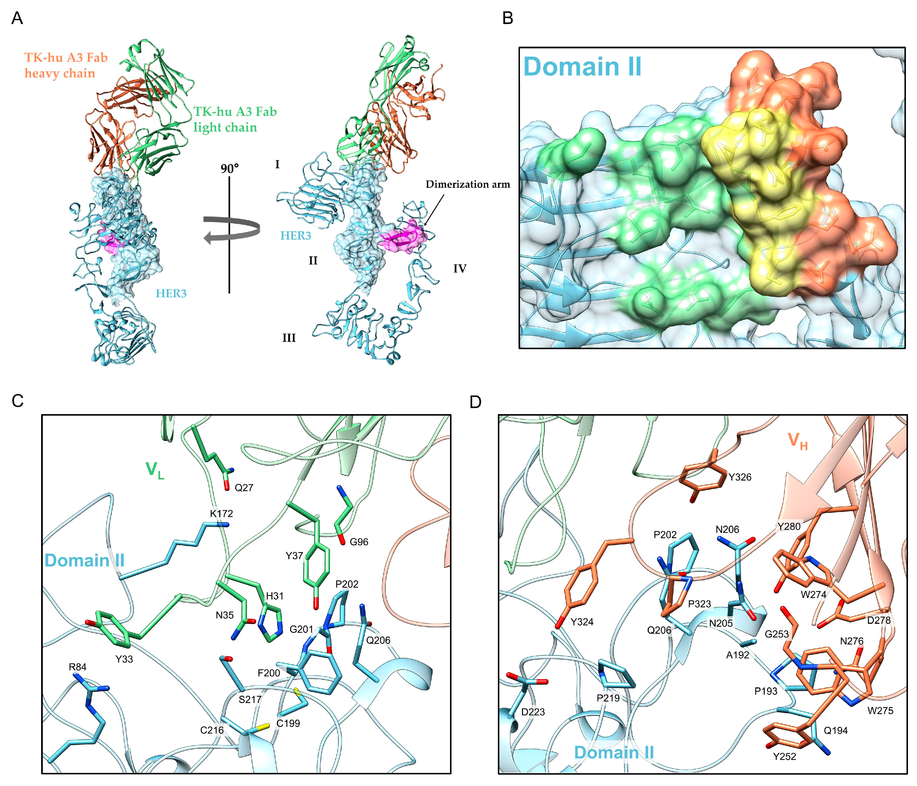 Antibodies 14 00084 g005 Antibodies 14 00084 g005
