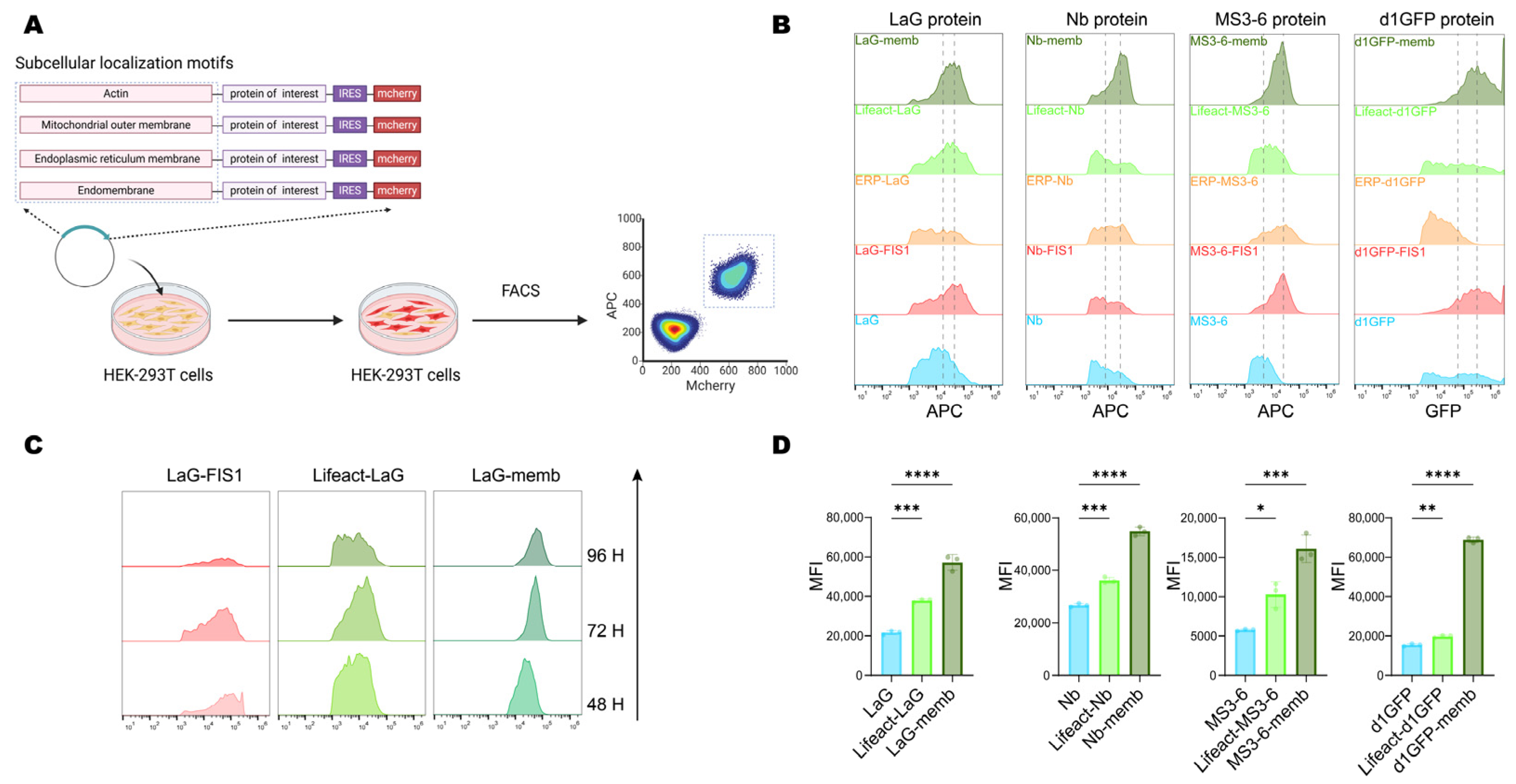 Antibodies 14 00088 g002 Antibodies 14 00088 g002