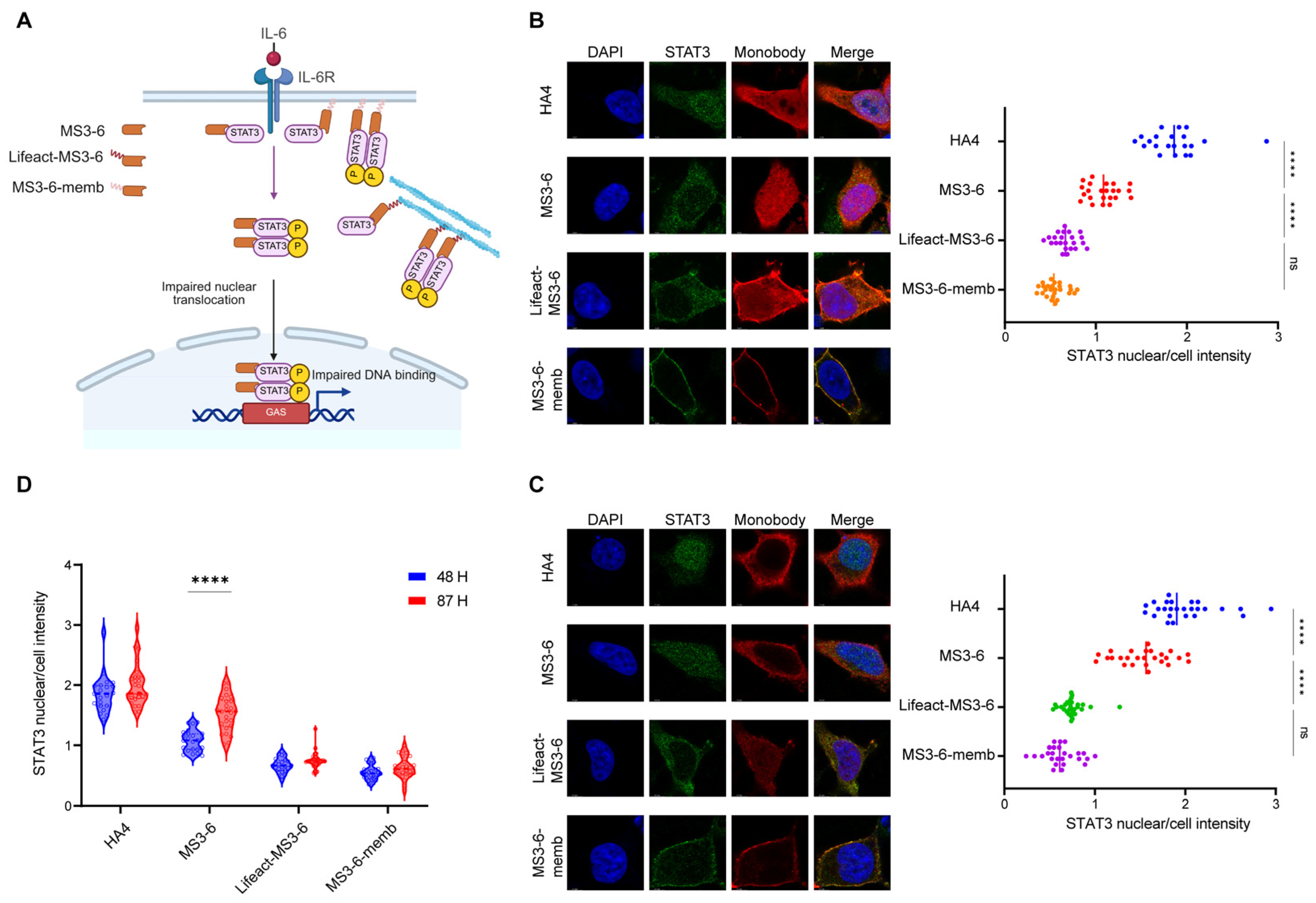 Antibodies 14 00088 g005 Antibodies 14 00088 g005