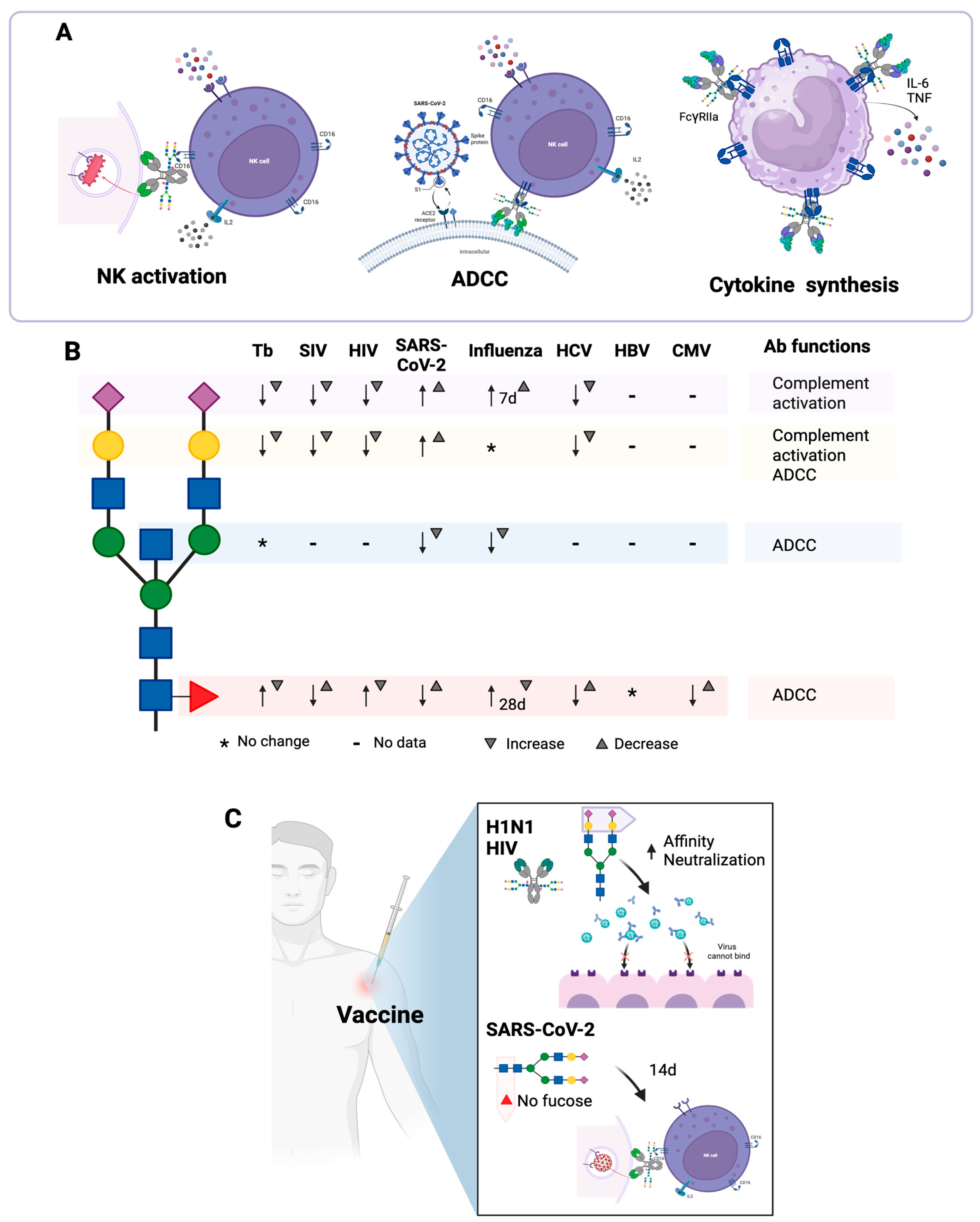 Antibodies 14 00093 g005