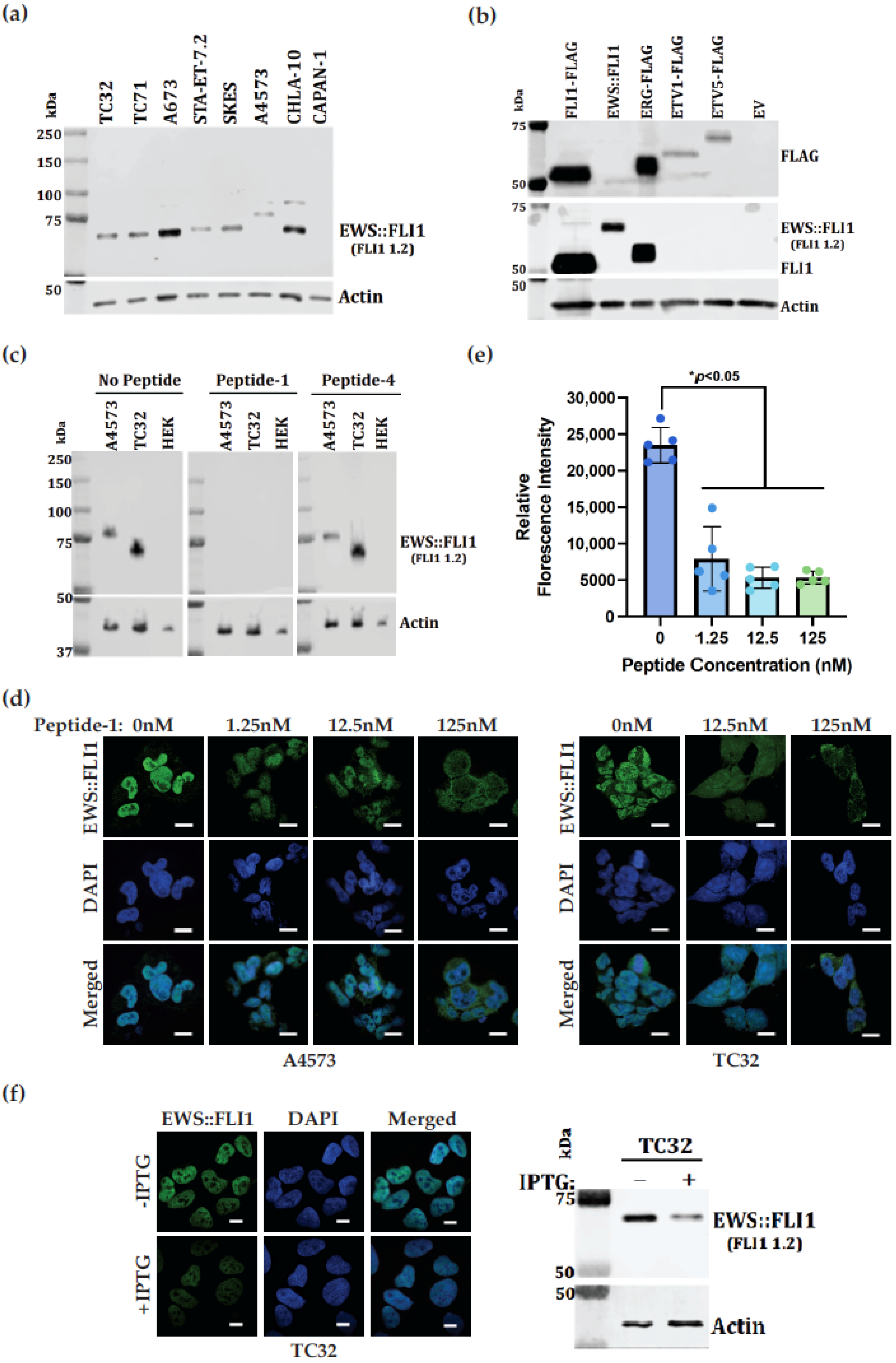 Antibodies 14 00097 g003
