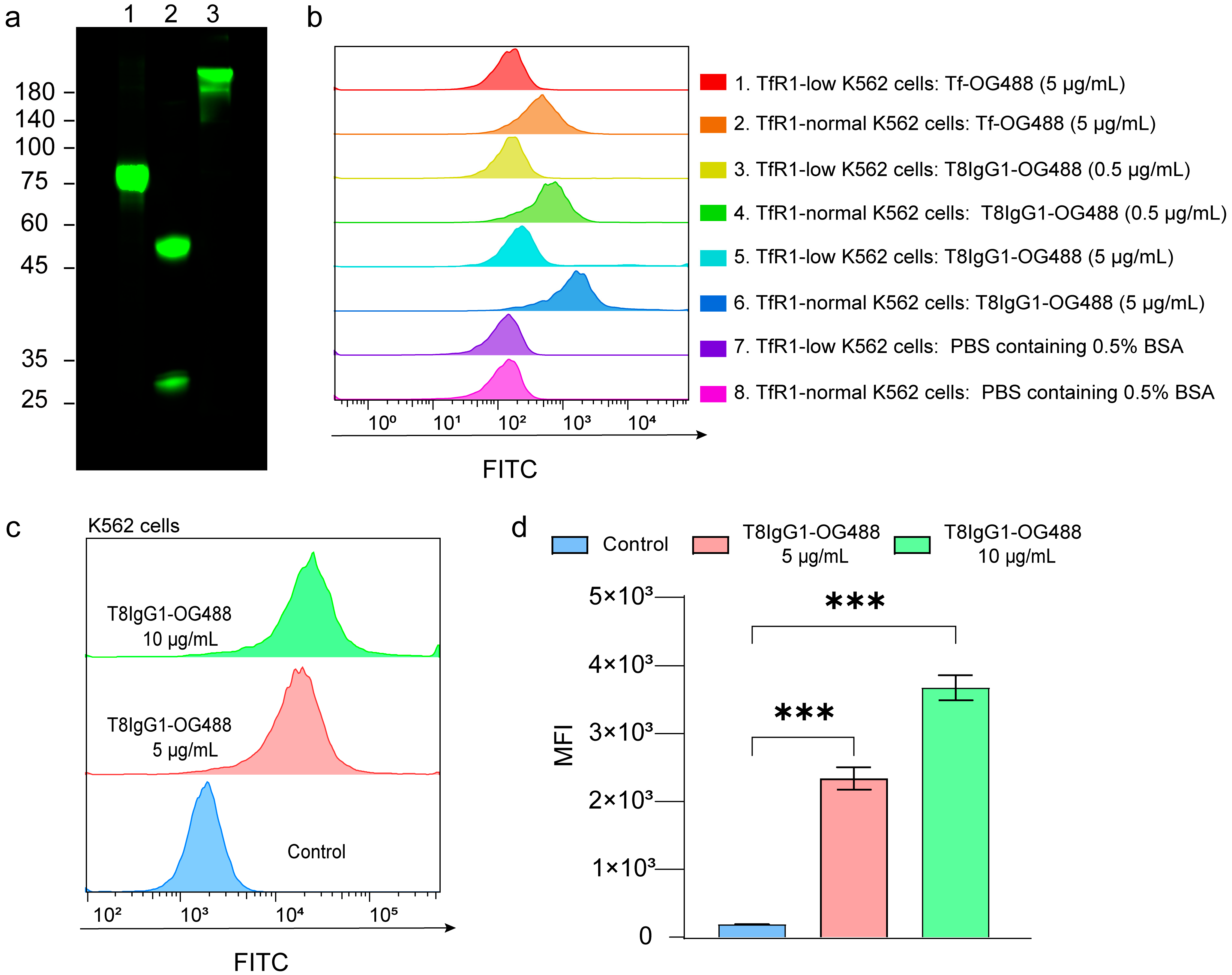 Antibodies 15 00034 g004 Antibodies 15 00034 g004