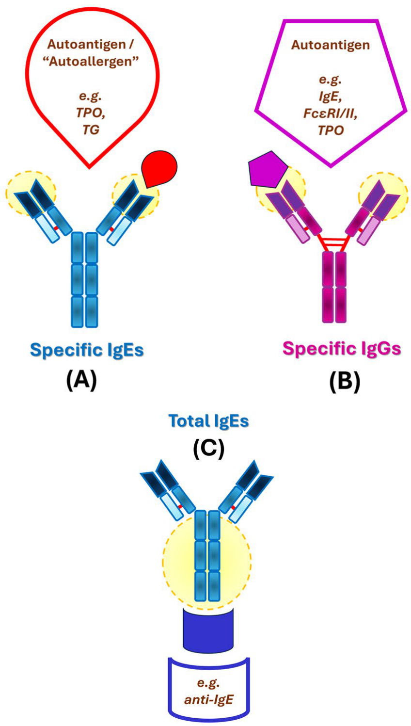 Antibodies 15 00044 g001 Antibodies 15 00044 g001