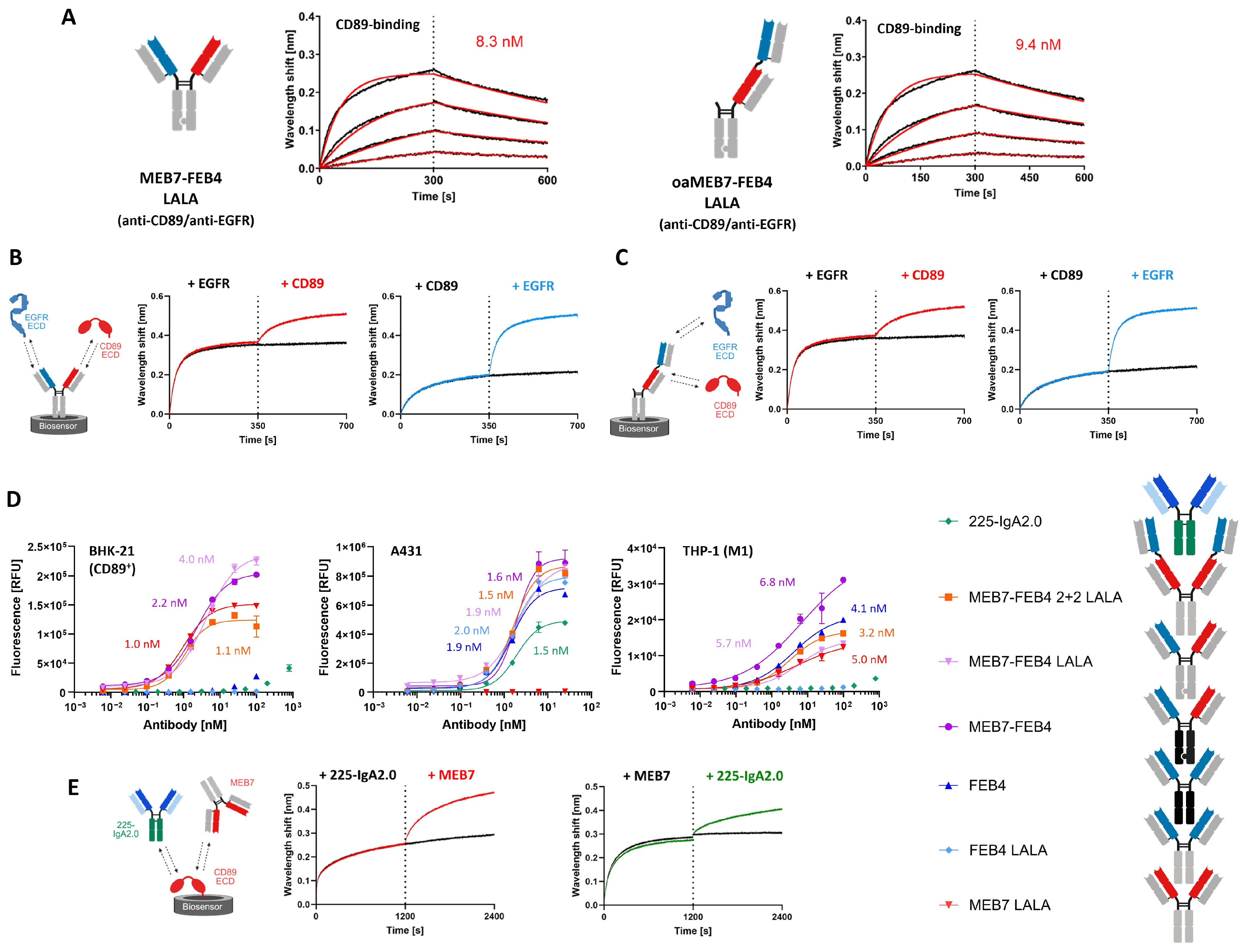 Antibodies 15 00066 g003 Antibodies 15 00066 g003