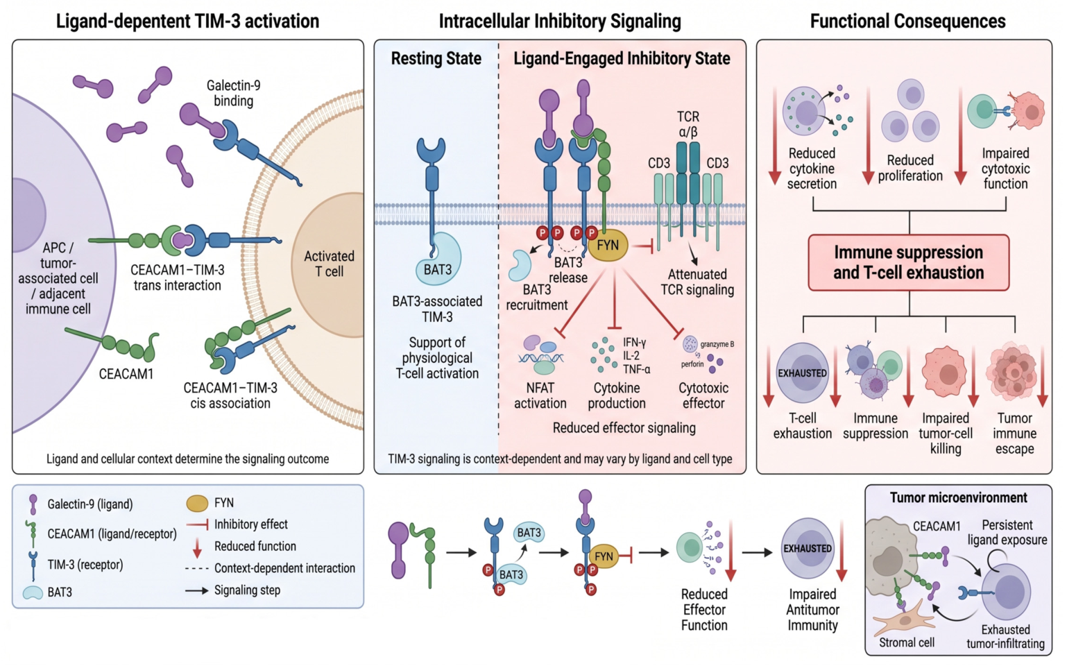 Antibodies 15 00084 g011 Antibodies 15 00084 g011
