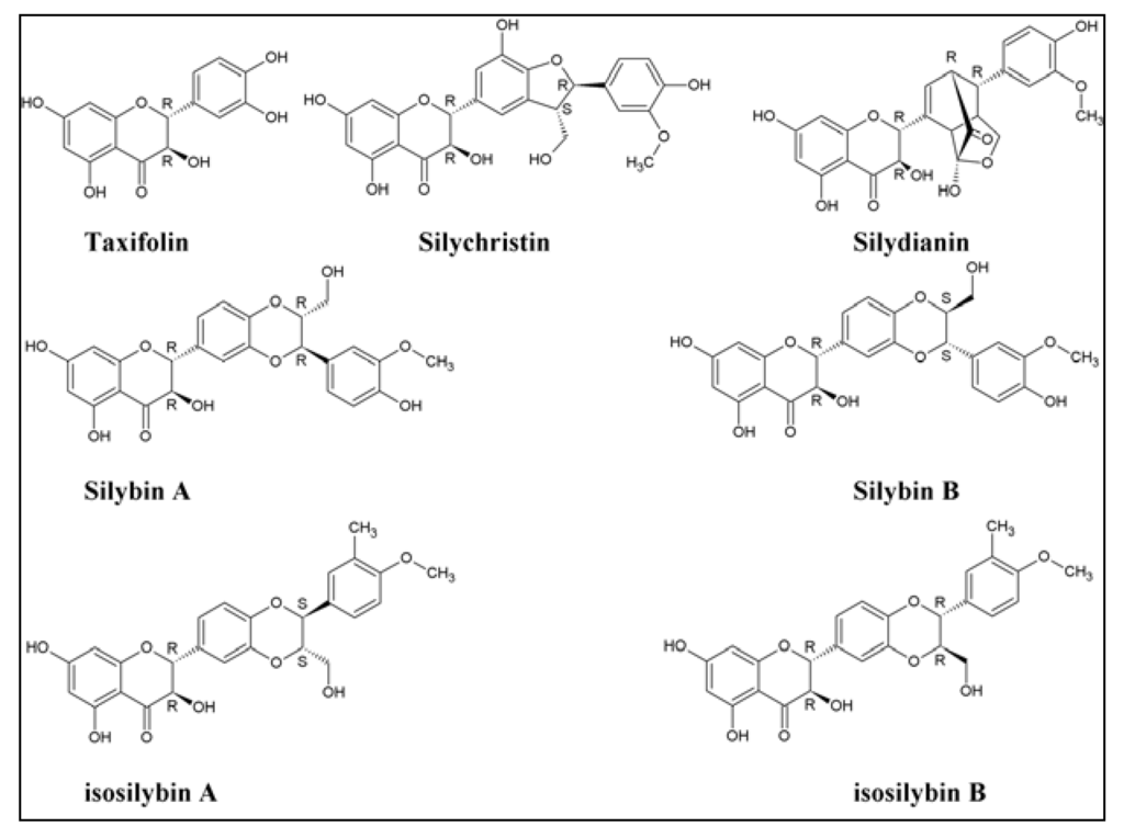 Antioxidants 02 00023 g001 1024
