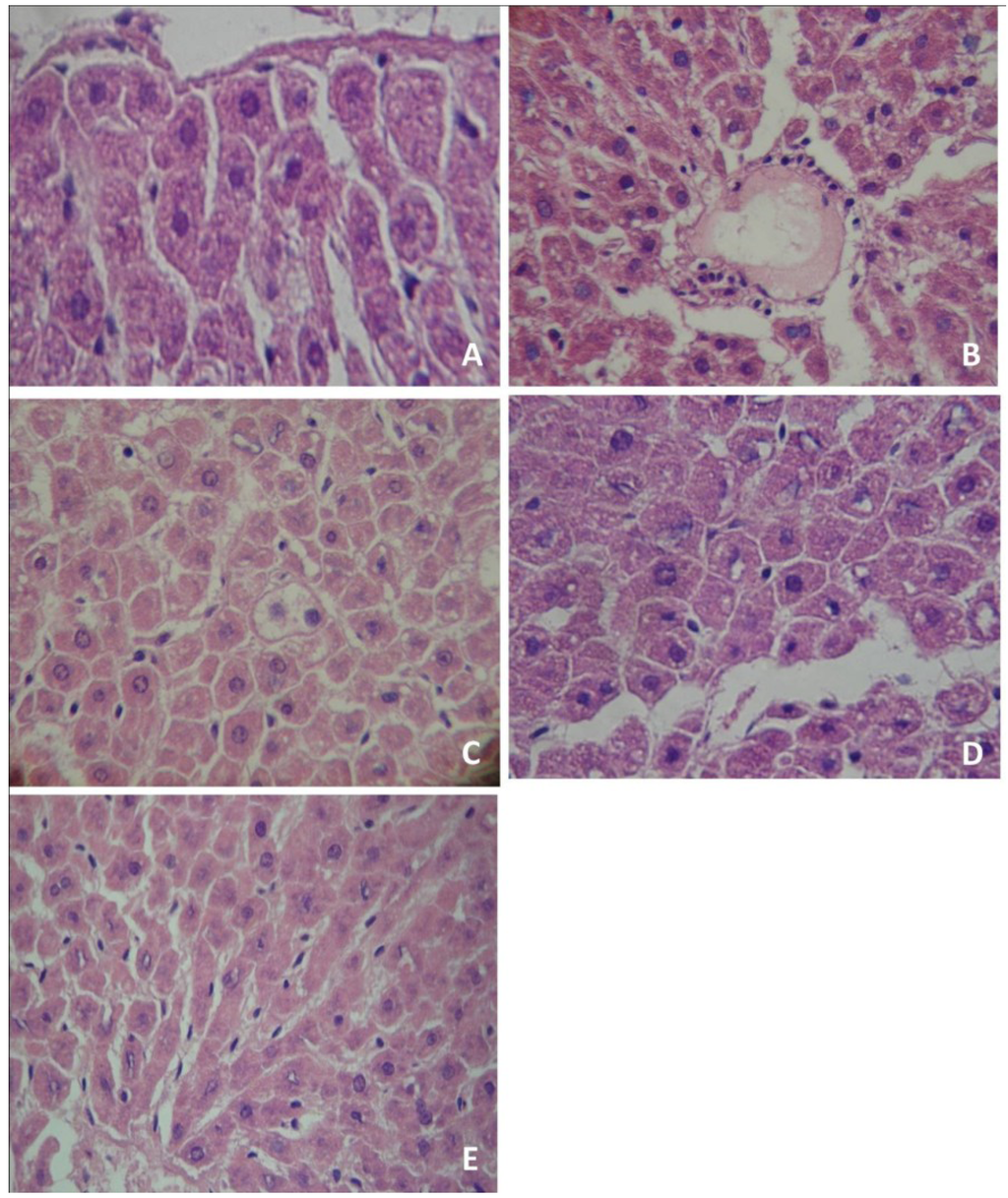 Antioxidants 02 00100 g001 1024