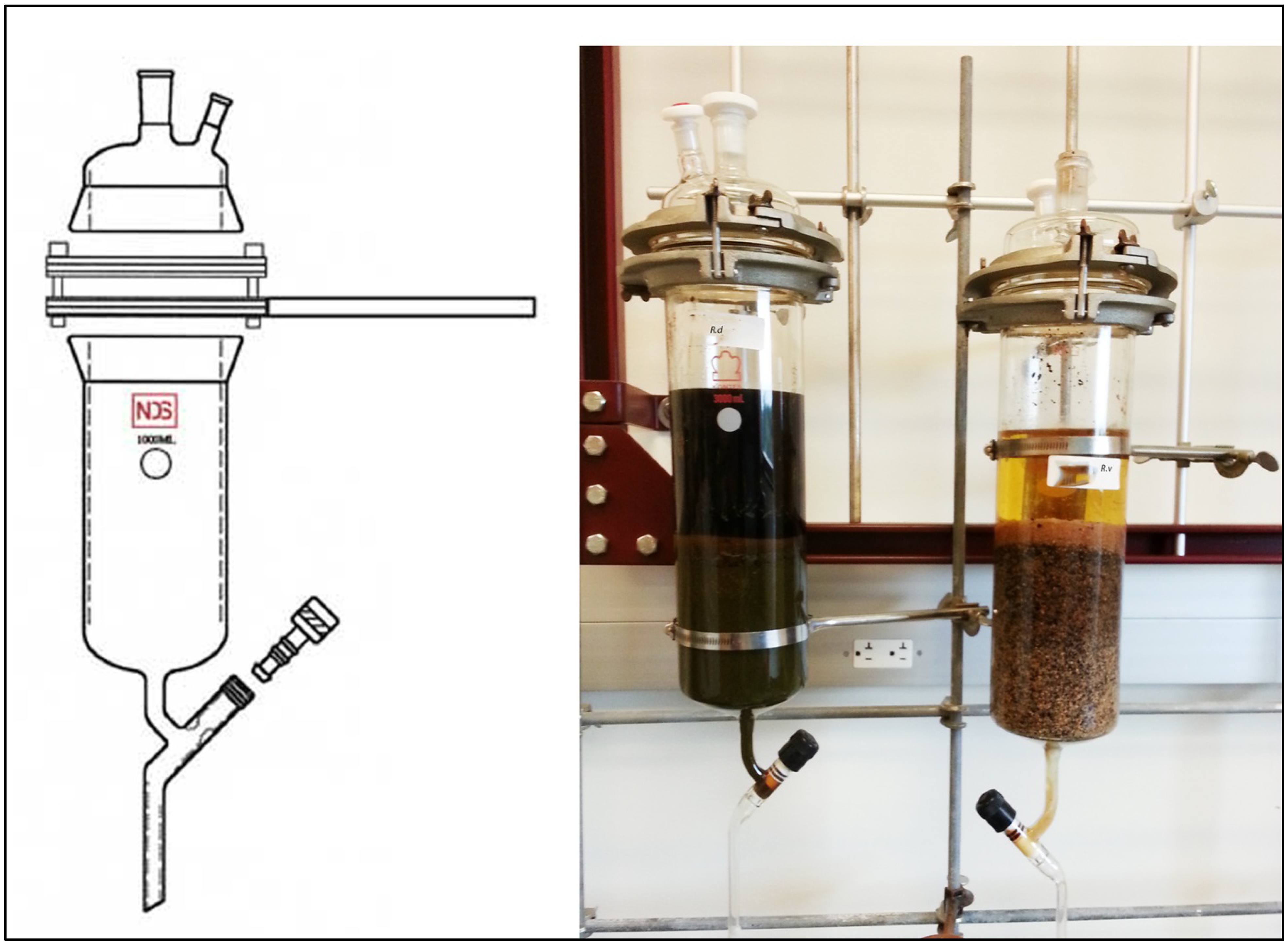 Antioxidants 02 00167 g001