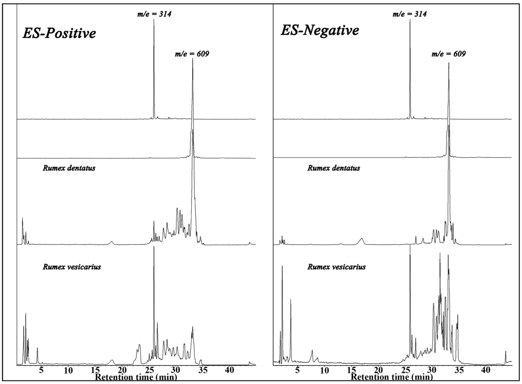 Antioxidants 02 00167 g006 1024