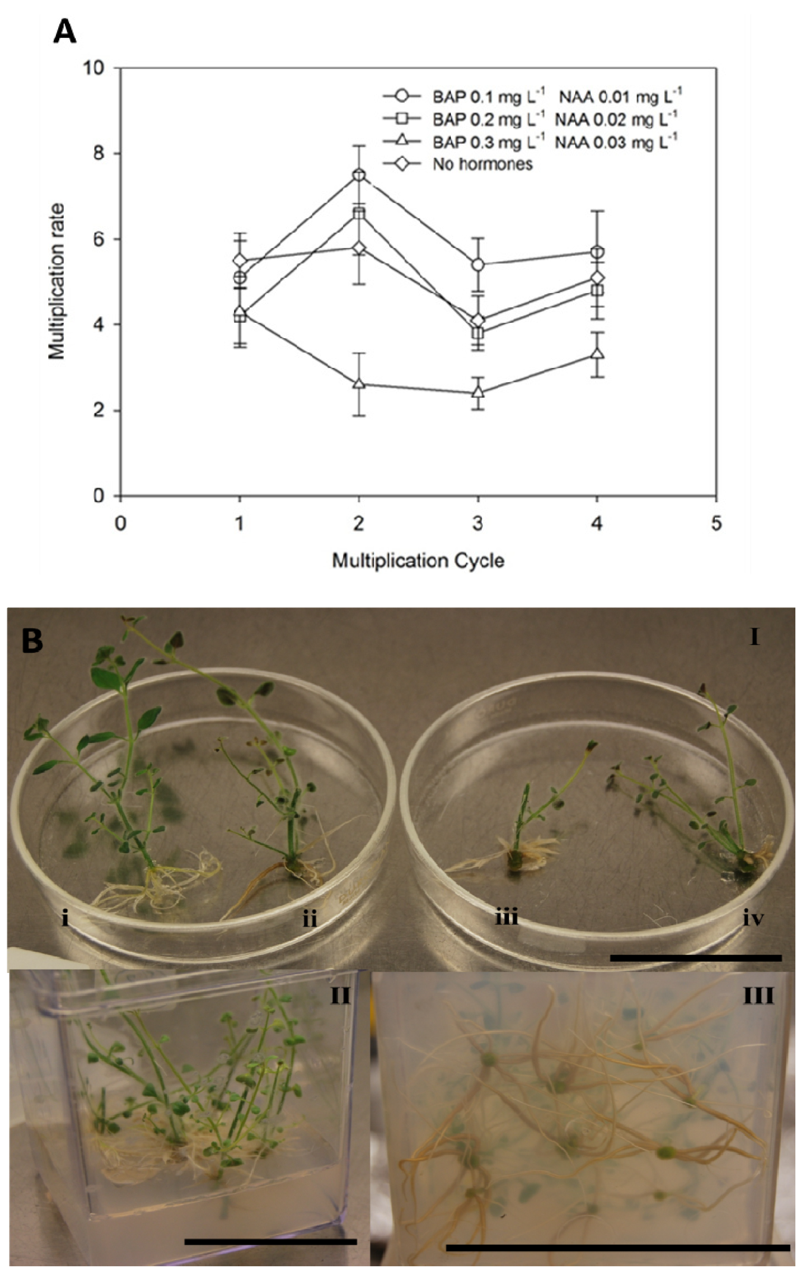 Antioxidants 02 00273 g002