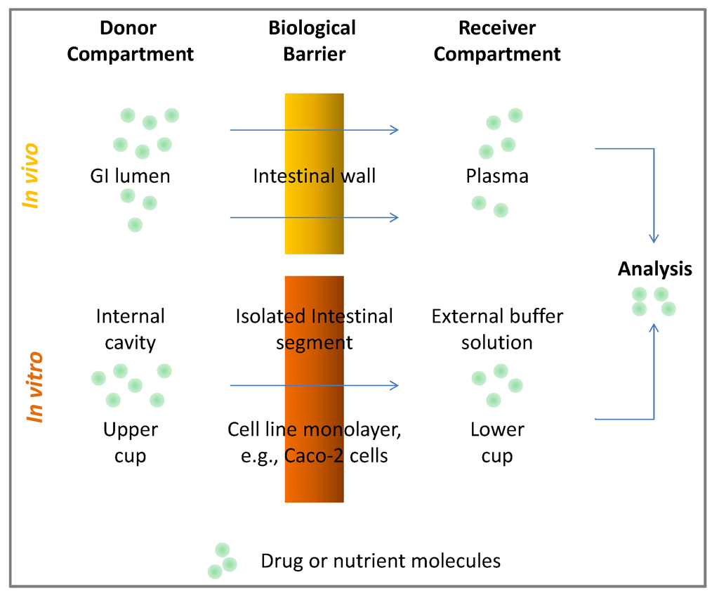 Antioxidants 02 00309 g002 1024
