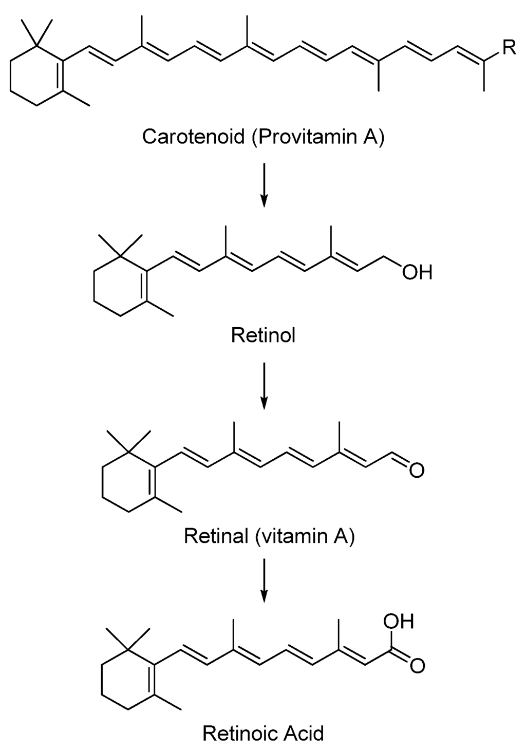 Antioxidants 02 00309 g003 1024
