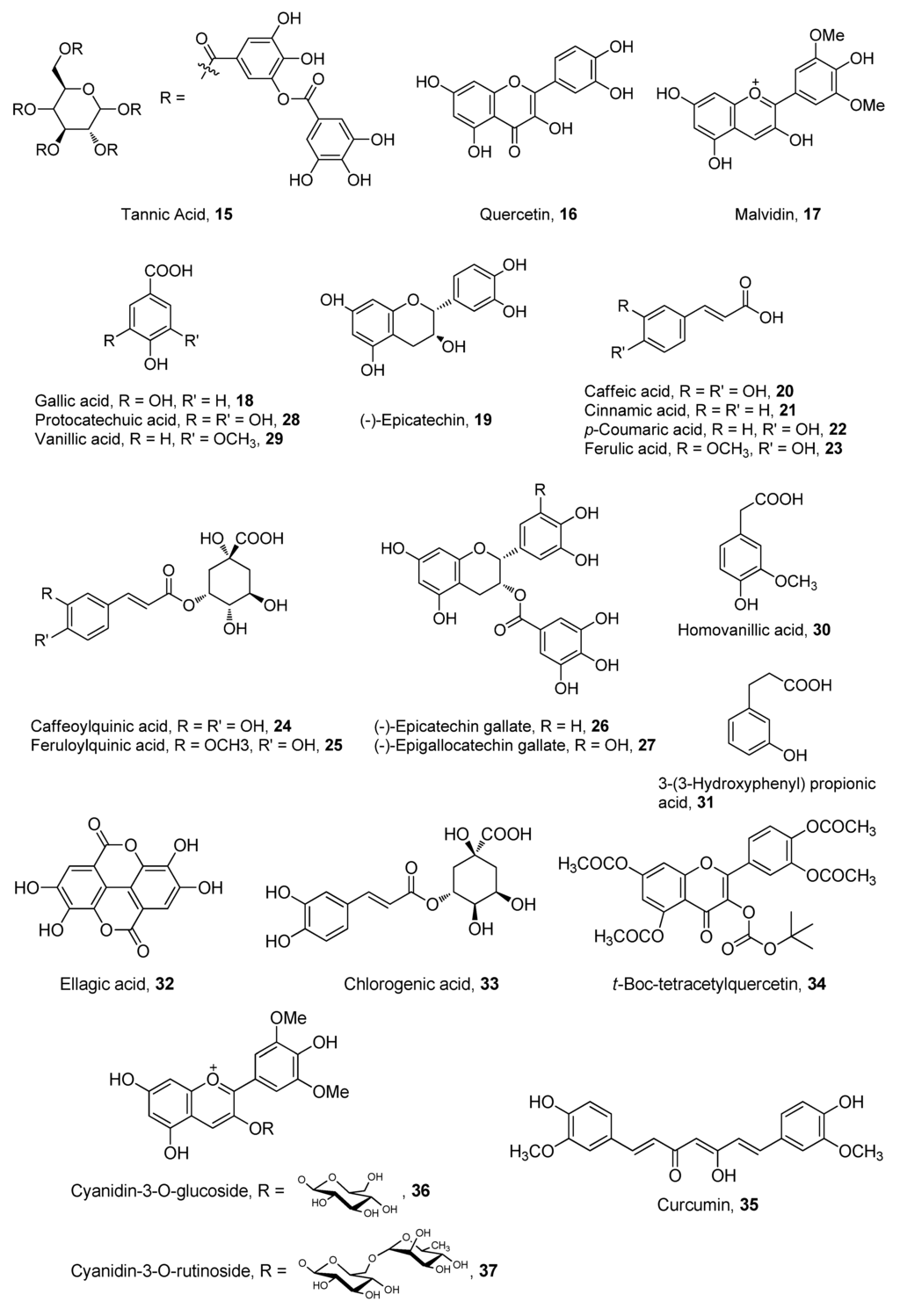 Antioxidants 02 00309 g005 1024