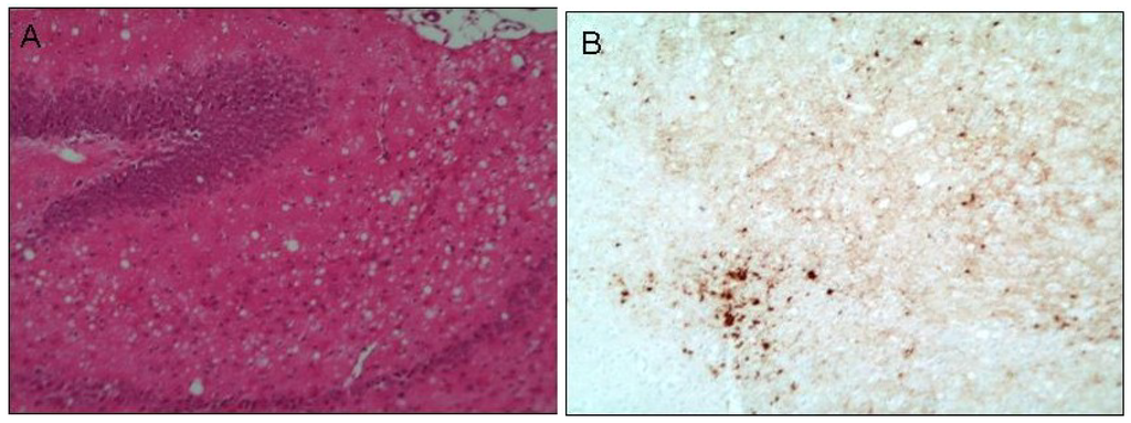 Antioxidants 03 00288 g001 1024