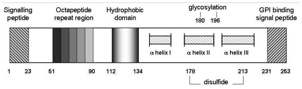 Antioxidants 03 00288 g002 1024