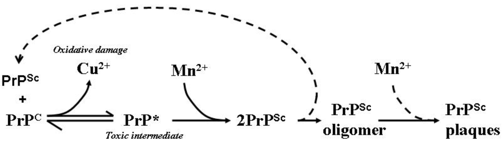 Antioxidants 03 00288 g003 1024