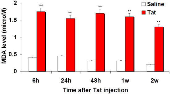 Antioxidants 03 00414 g001 550