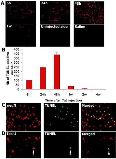Antioxidants 03 00414 g002 550