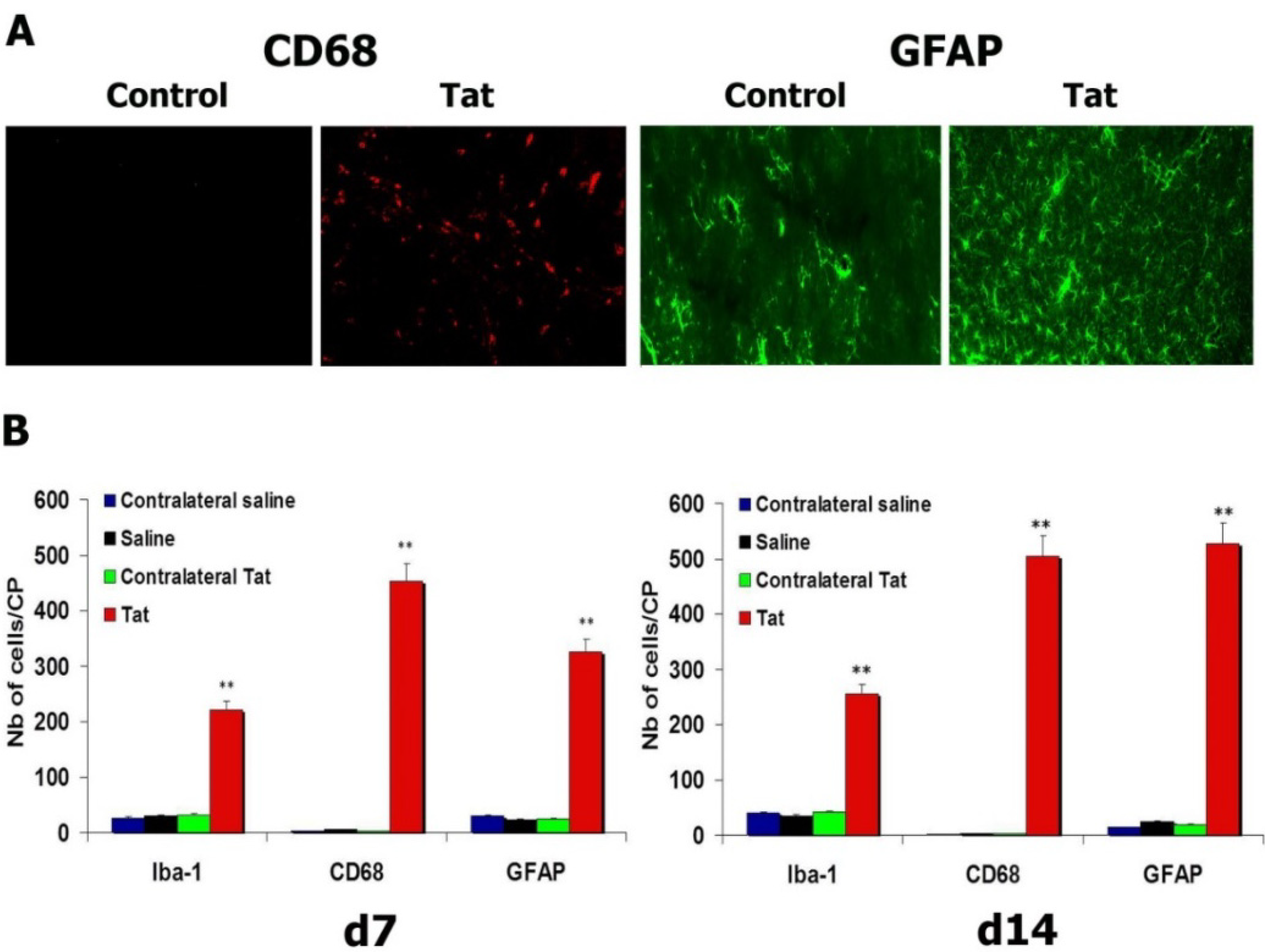 Antioxidants 03 00414 g003