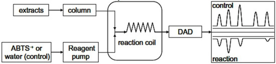 Antioxidants 03 00455 g004 550