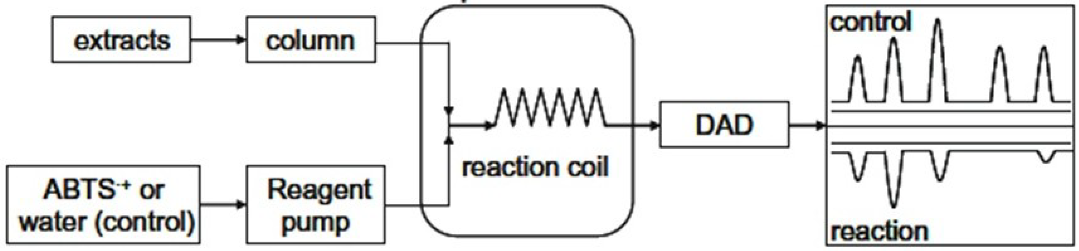Antioxidants 03 00455 g004